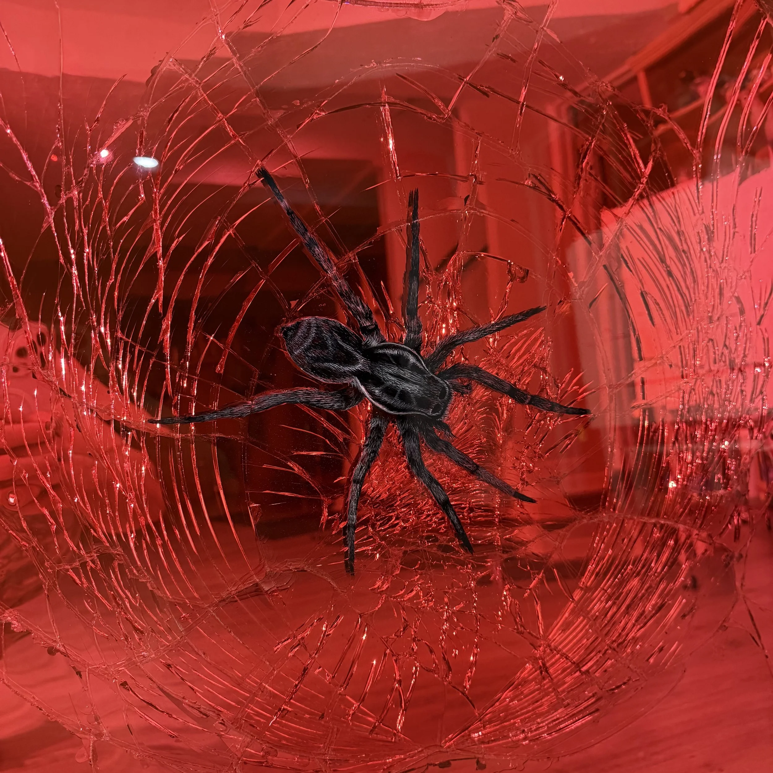 Acrylic, stained glass paint and epoxy resin on intentionally-shattered mirror. Mounted to canvas. 24 x 36 in.