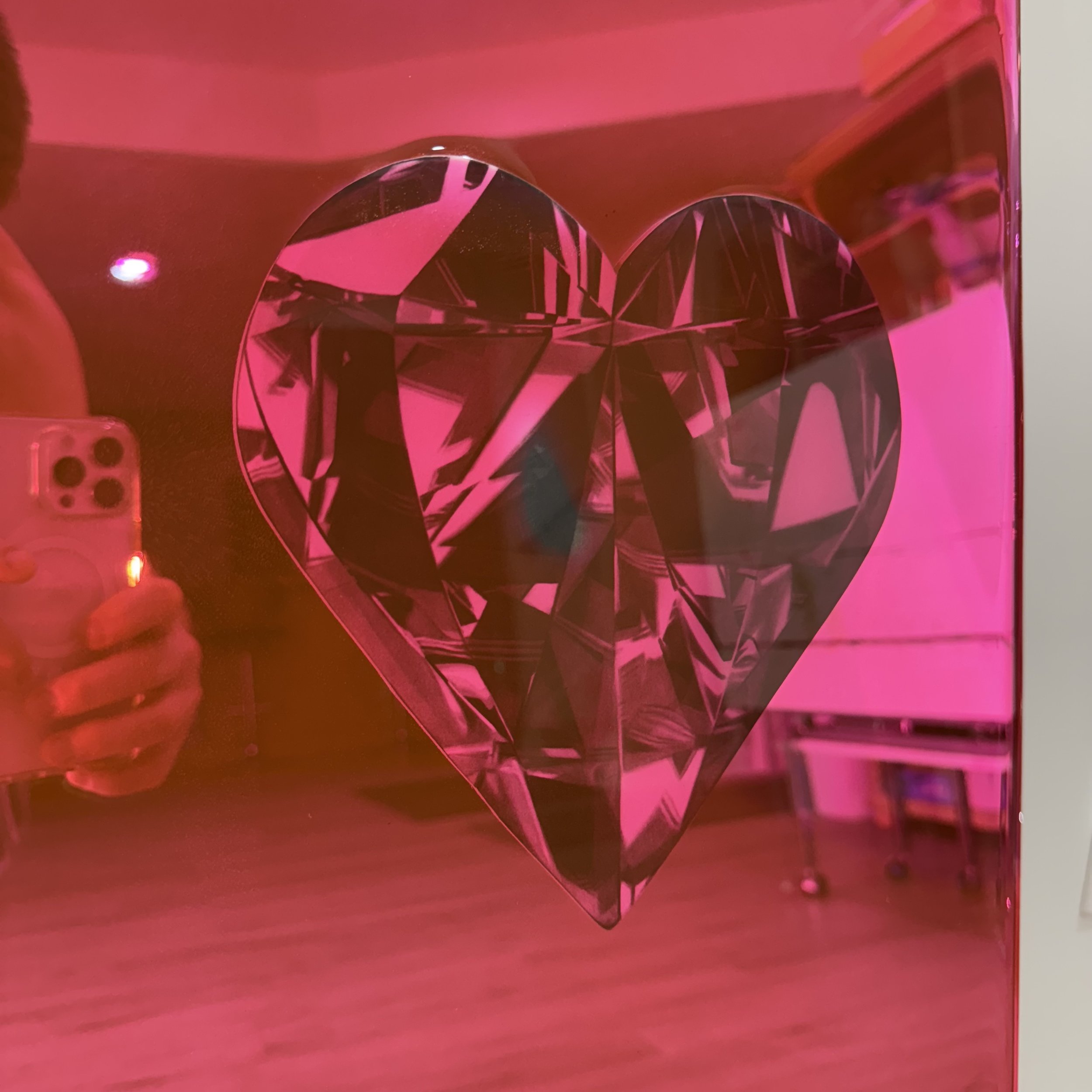 Graphite pencil drawings, layered over mirror and sealed with pink-dyed epoxy resin. Mounted to mirror. 24 x 30 in.