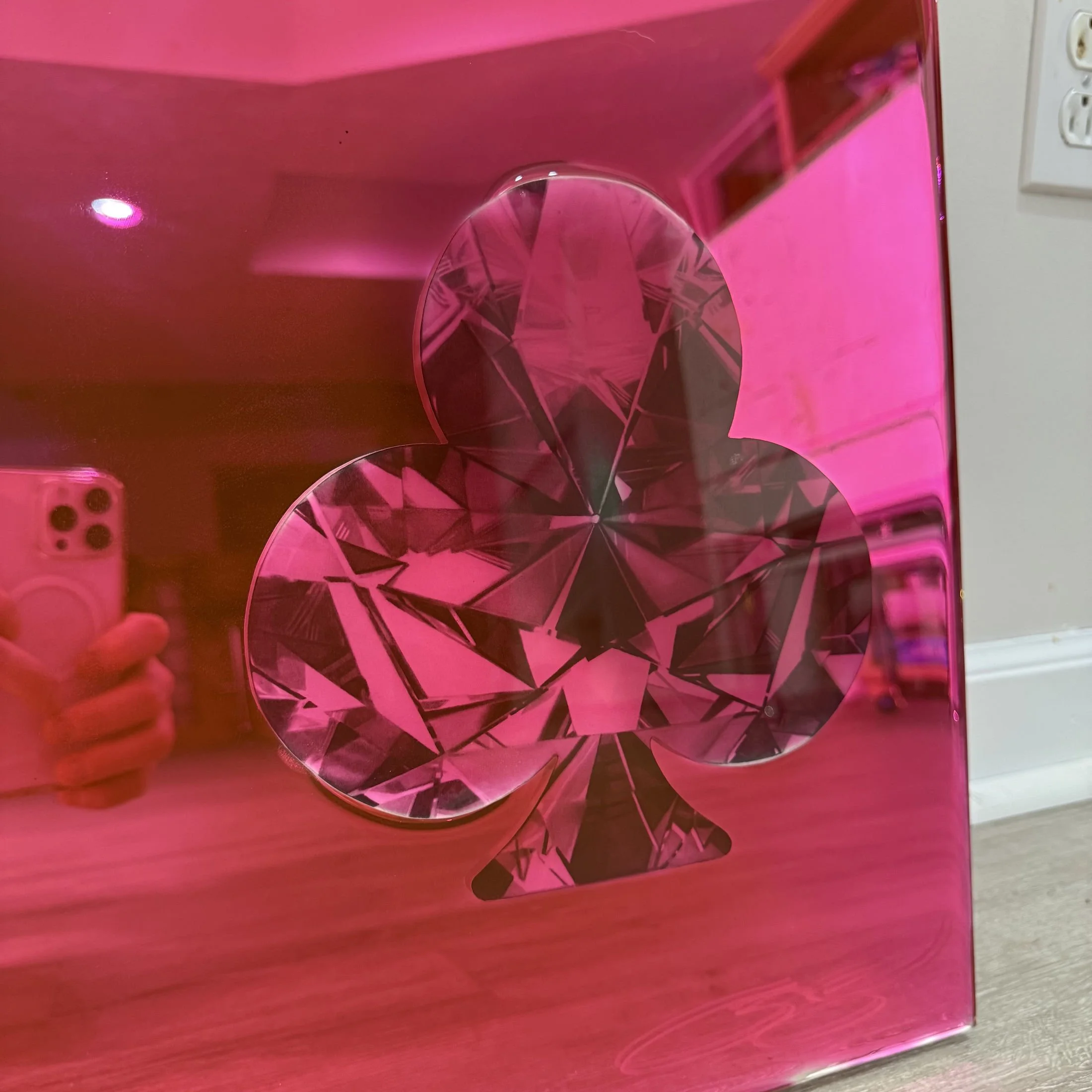Graphite pencil drawings layered over mirror and sealed with pink-dyed epoxy resin. Mounted to canvas. 24 x 30 in.