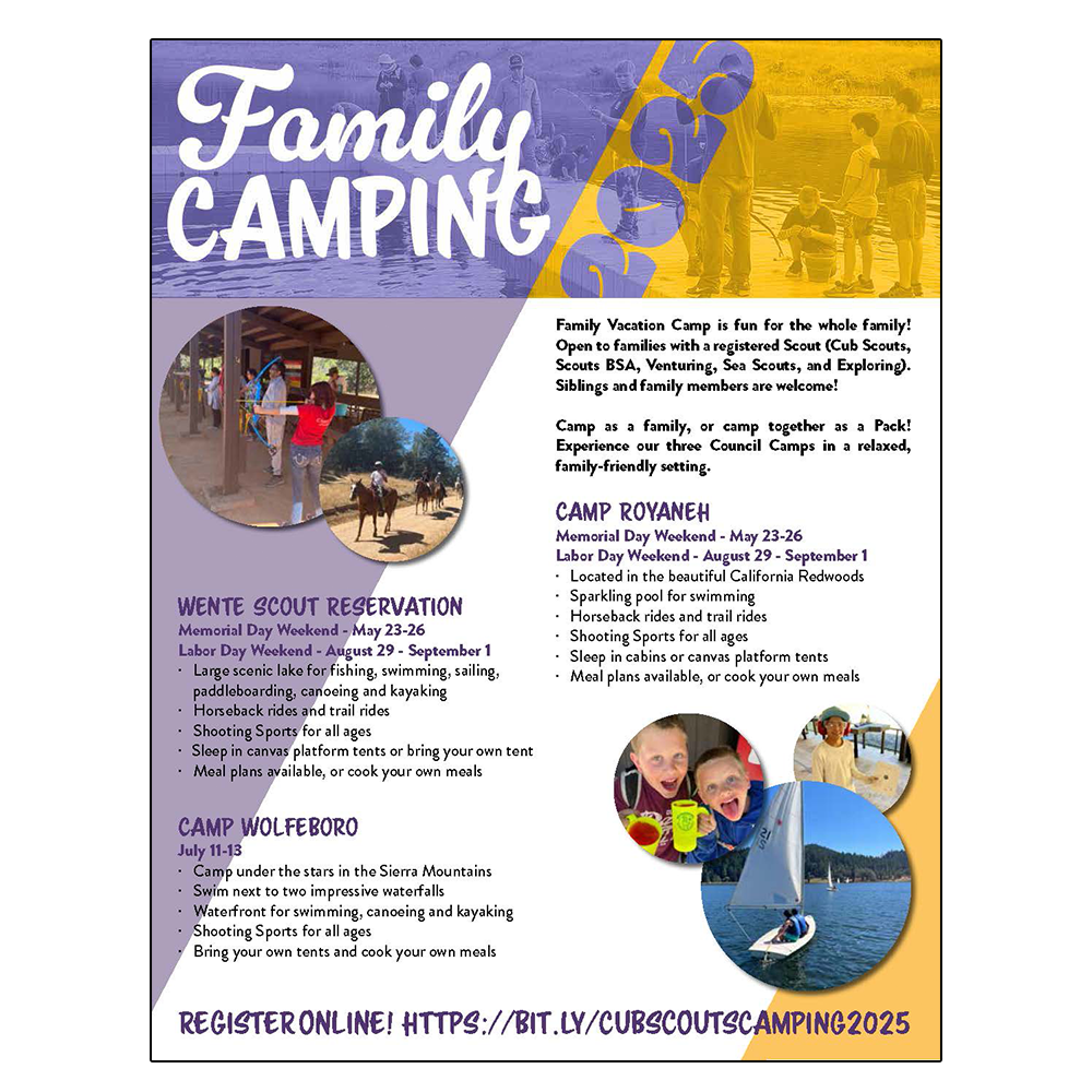 Family Camping Promotional Flyer