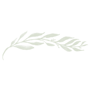 Kara Miller Photography Olive Branch Artwork