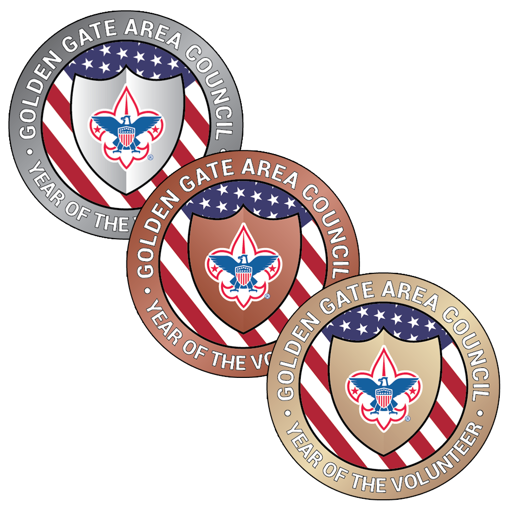 Year of the Volunteer Tiered Award Program Logos