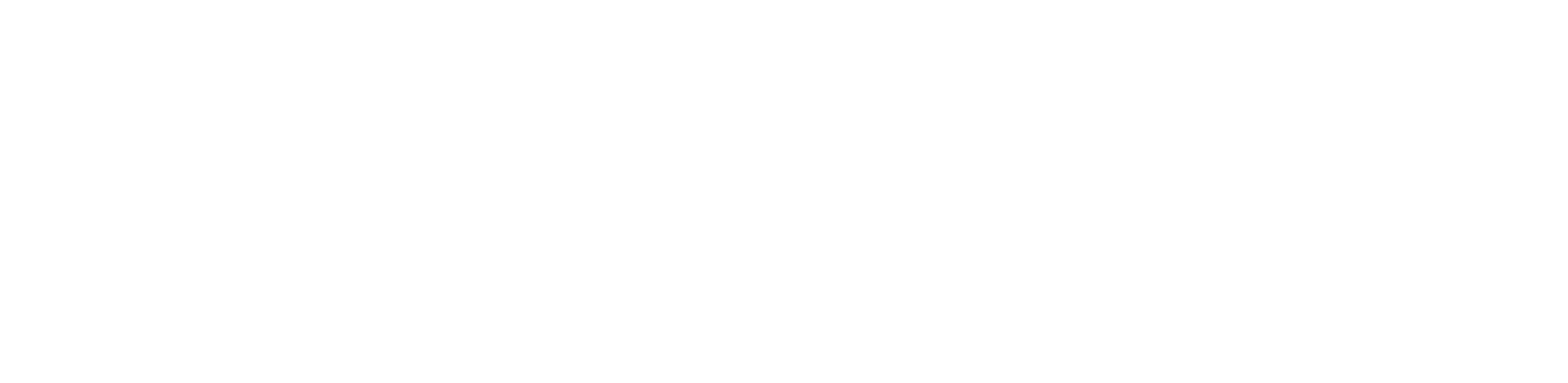 Obsidian Auto Detail