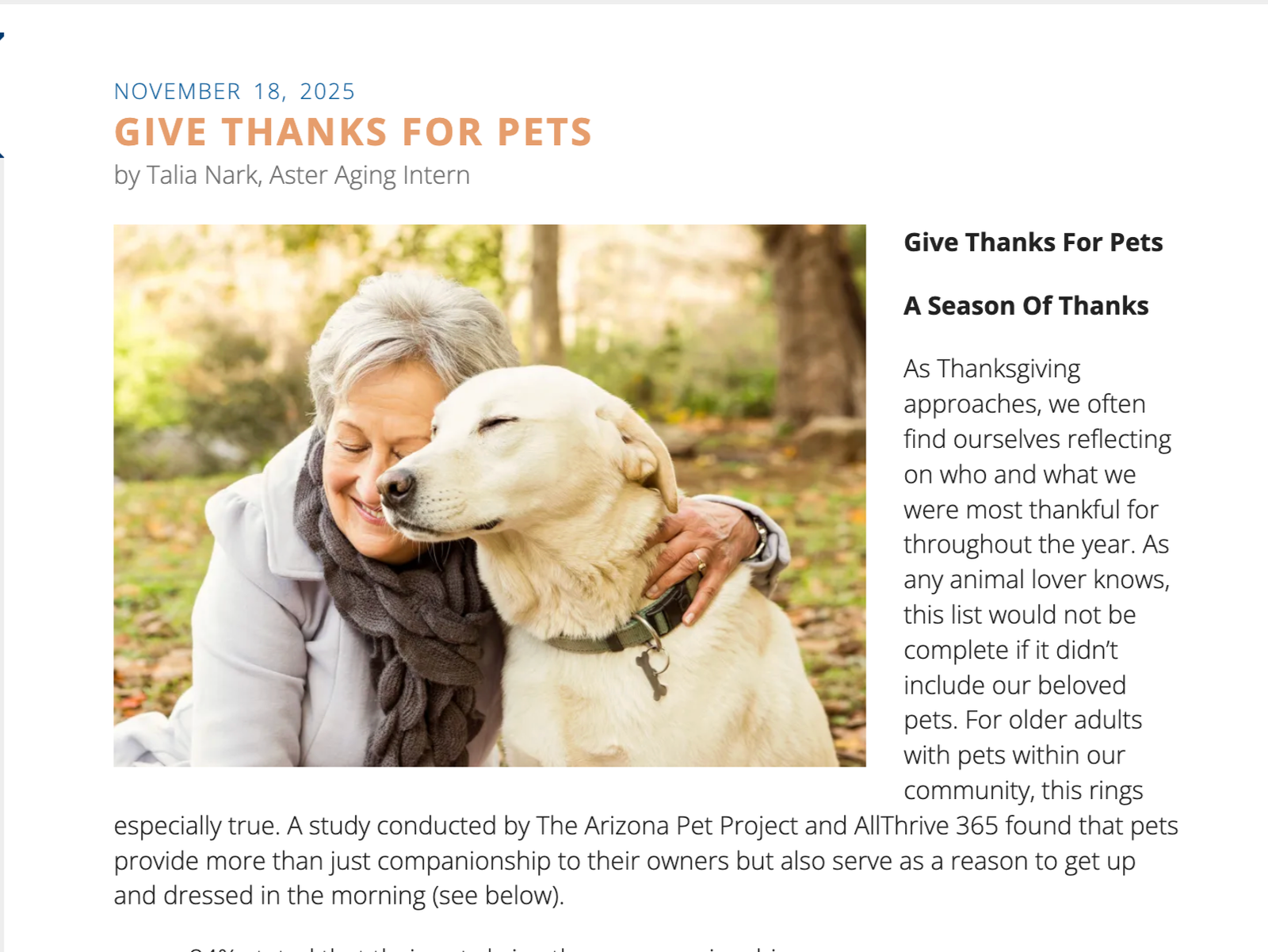 Blog post incorporating brand voice 