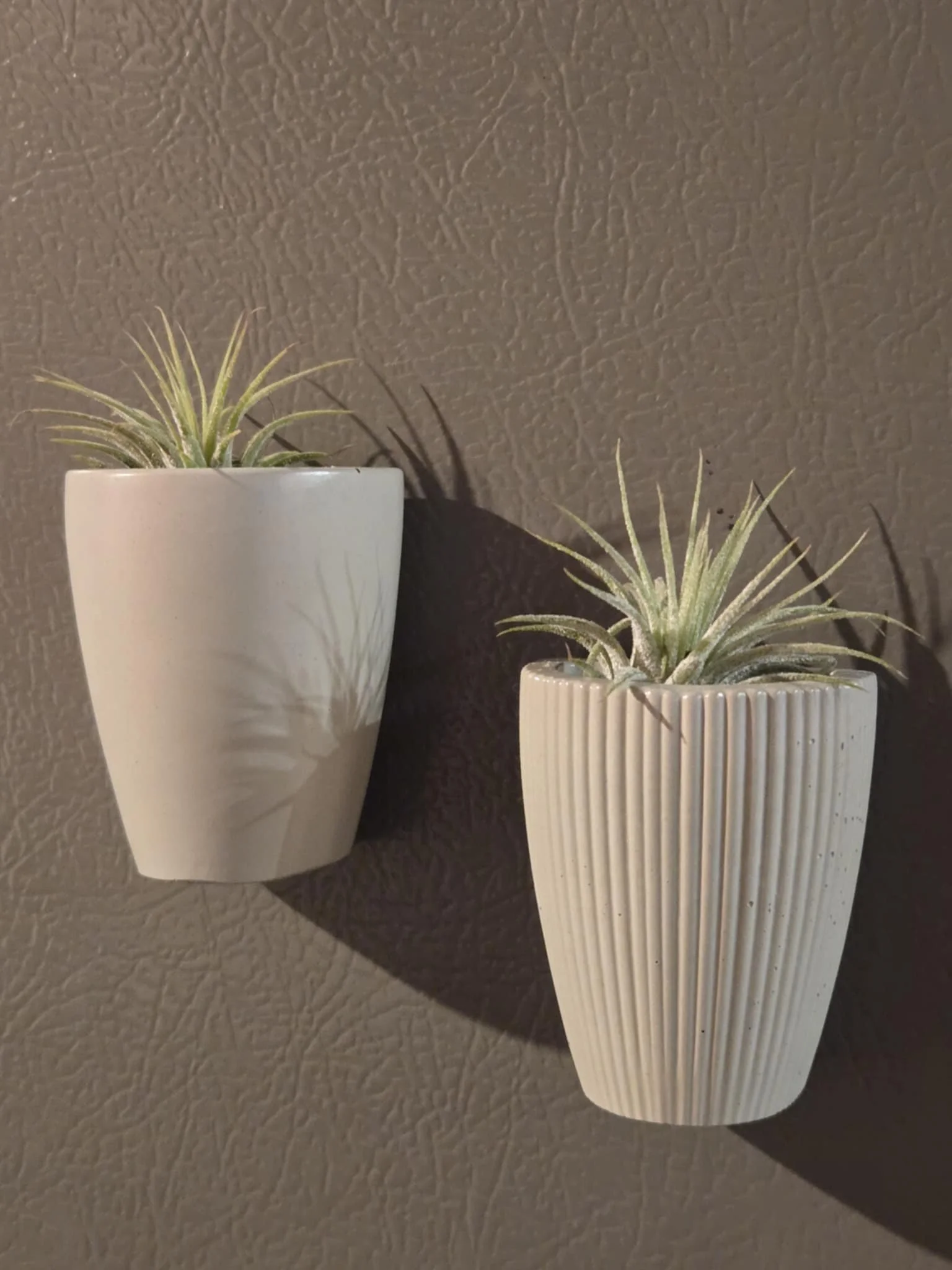 Two wall-mounted plant pots with air plants, one white with a smooth surface and the other with a ribbed textured surface, cast shadows on a textured brown wall.