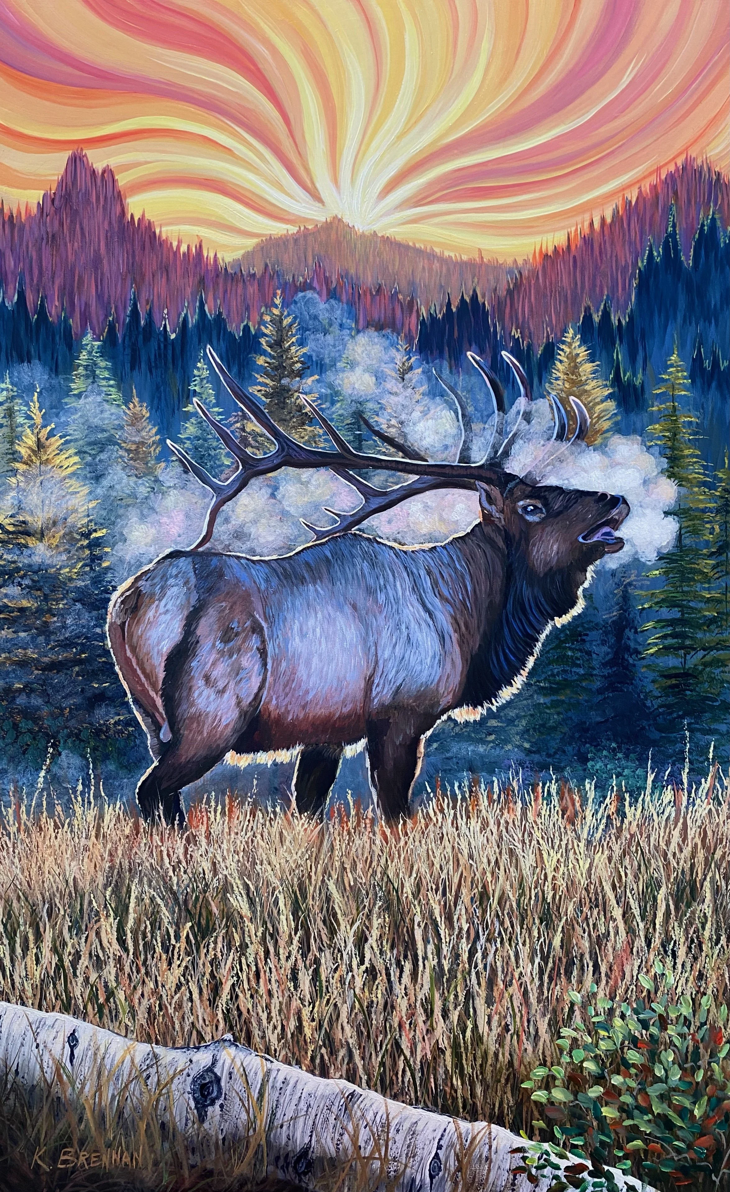 Morning Call copy.jpeg