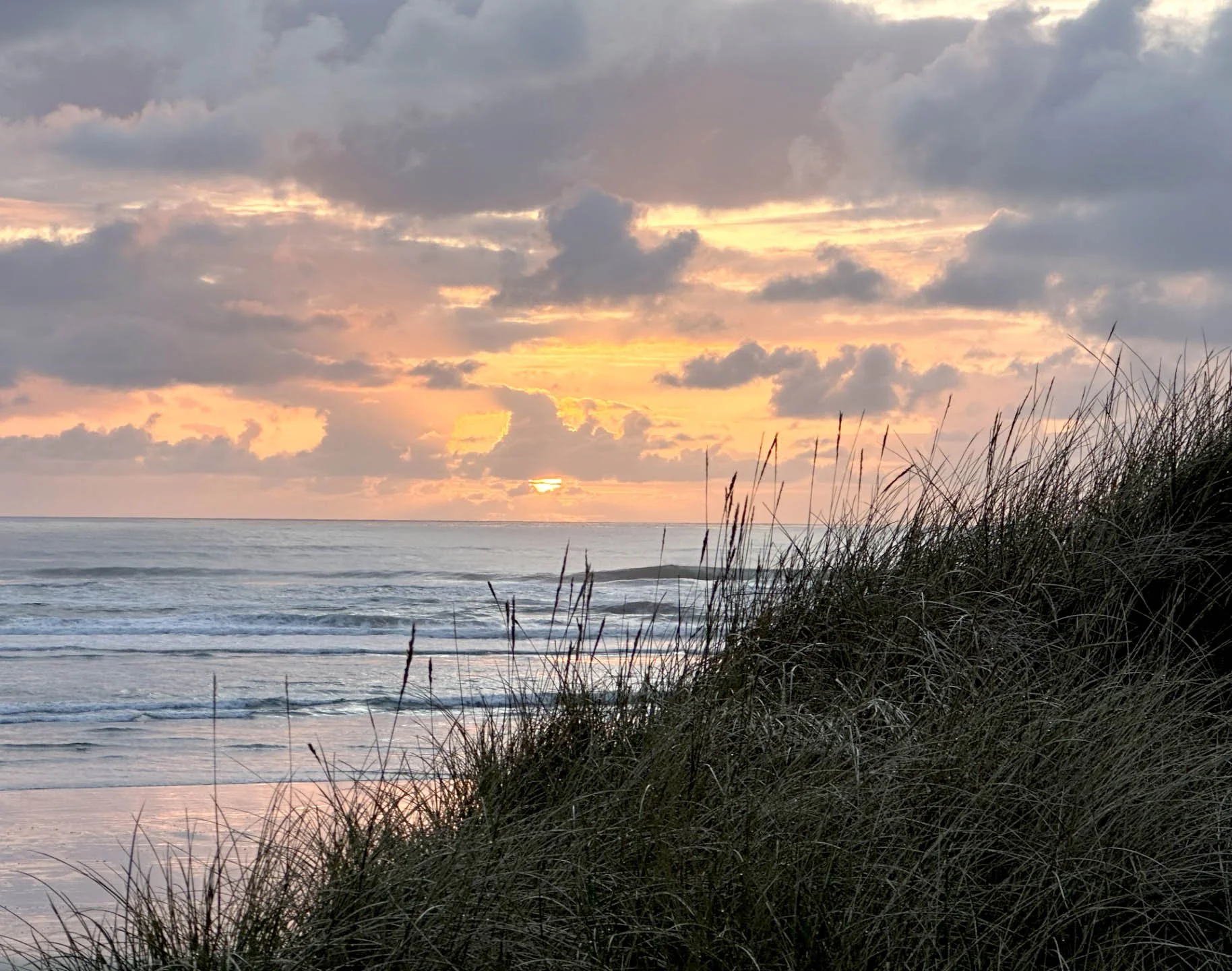 Sunset over the ocean with clouds and grassy dunes in the foreground.