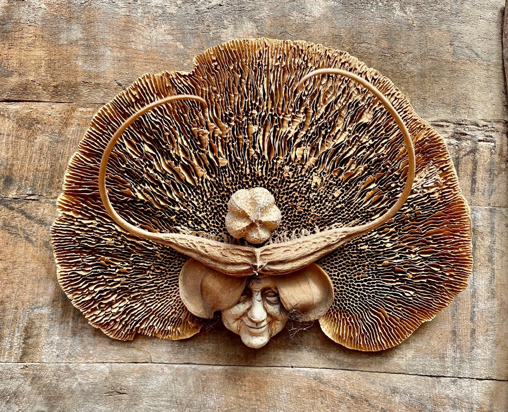 A mushroom with a human face and wings, resembling a fairy or angel, against a wooden background.