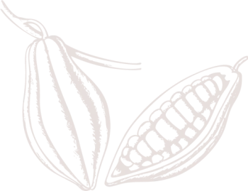 Illustration of two eucalyptus leaves with detailed veins.