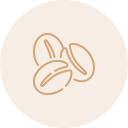 Line drawing of two coffee beans with a leaf in the background