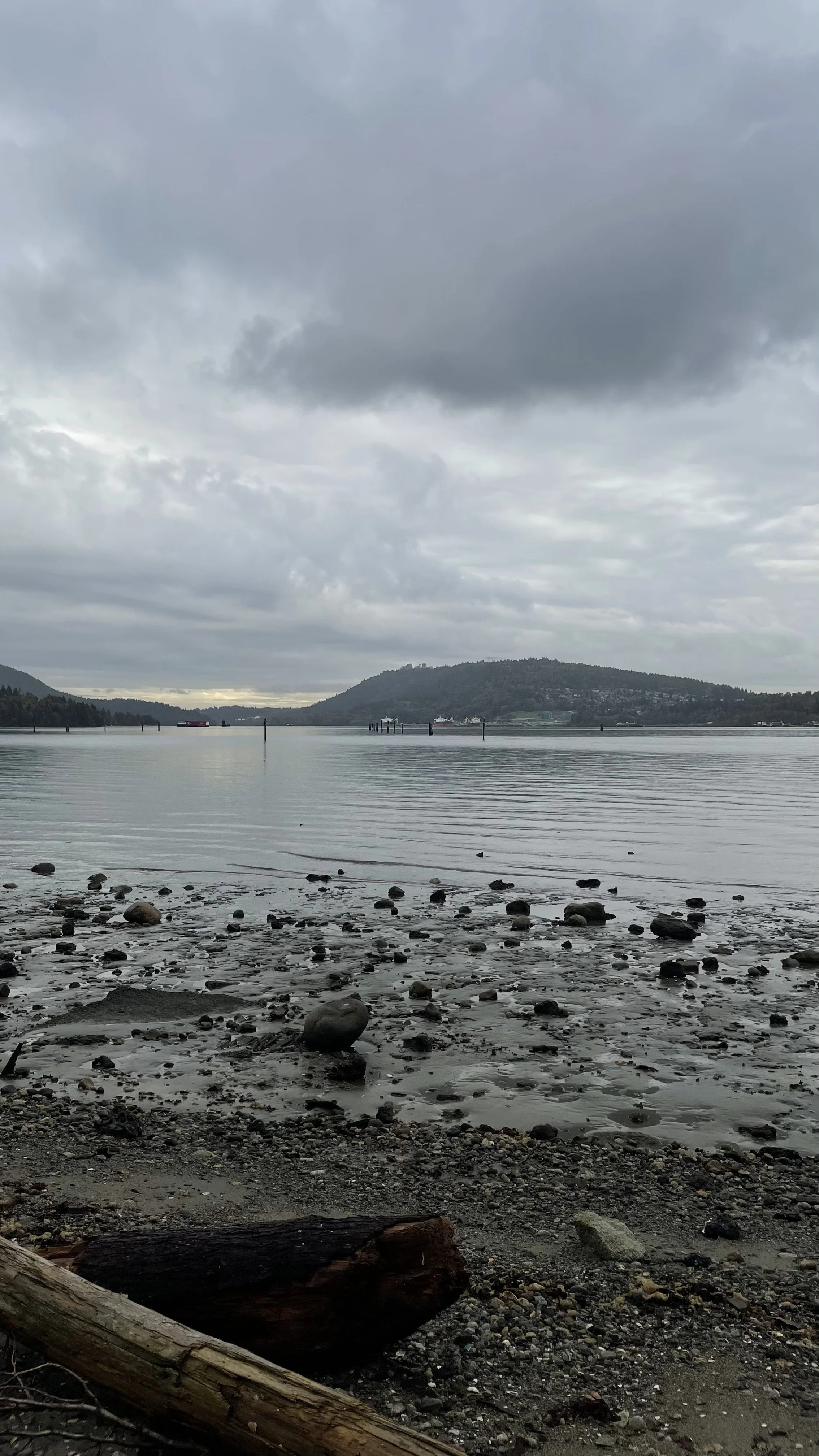 Maplewood Flats: Bird Conservation with Caroline Dingle