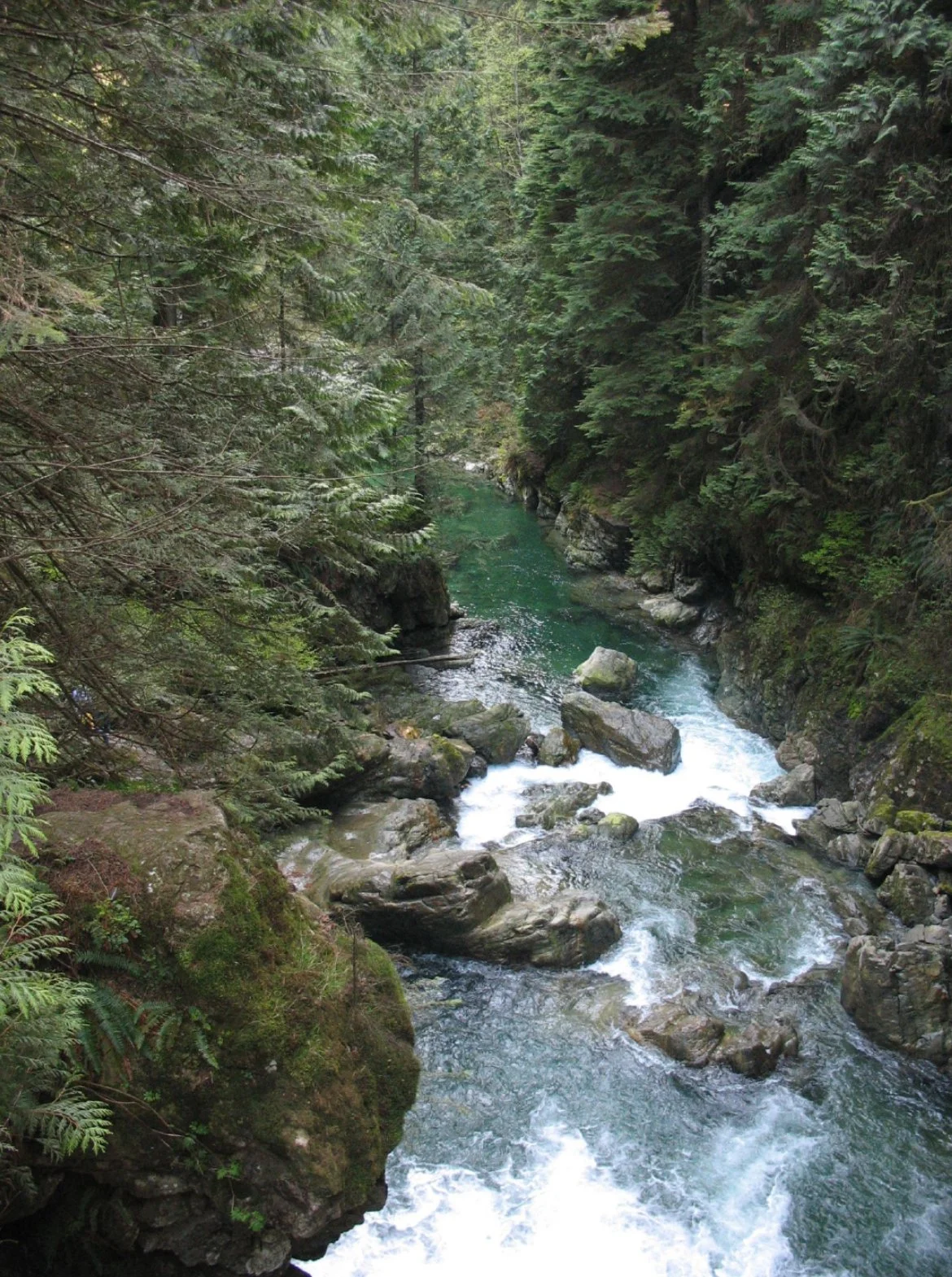 Lynn Canyon Unwind