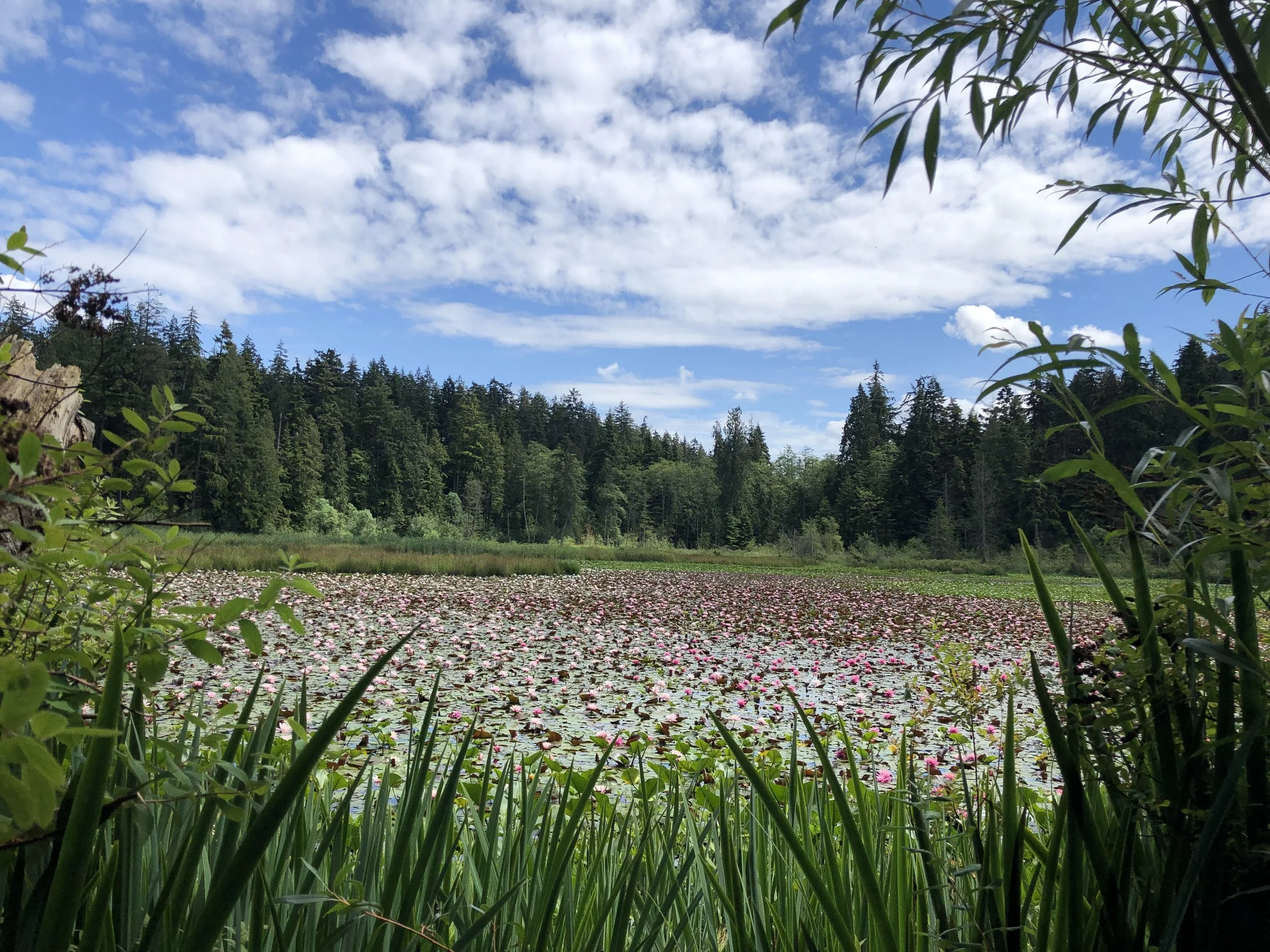 Birds &amp; Coffee with Chelsea Ryan