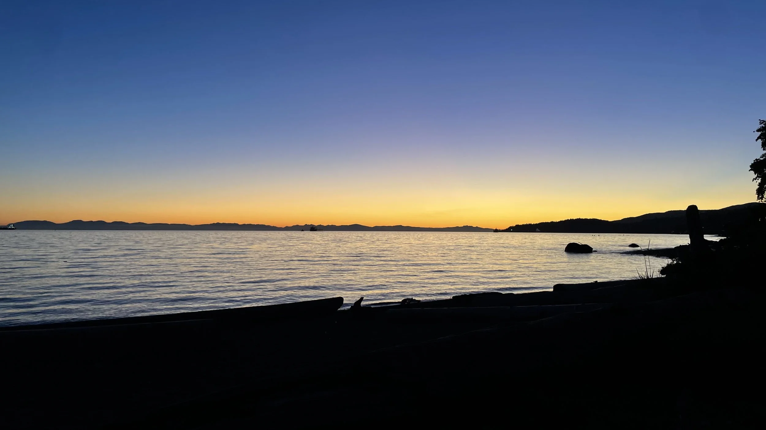 A Day For The Ocean: Shoreline Cleanup &amp; BioBlitz - Ambleside &amp; John Lawson Park