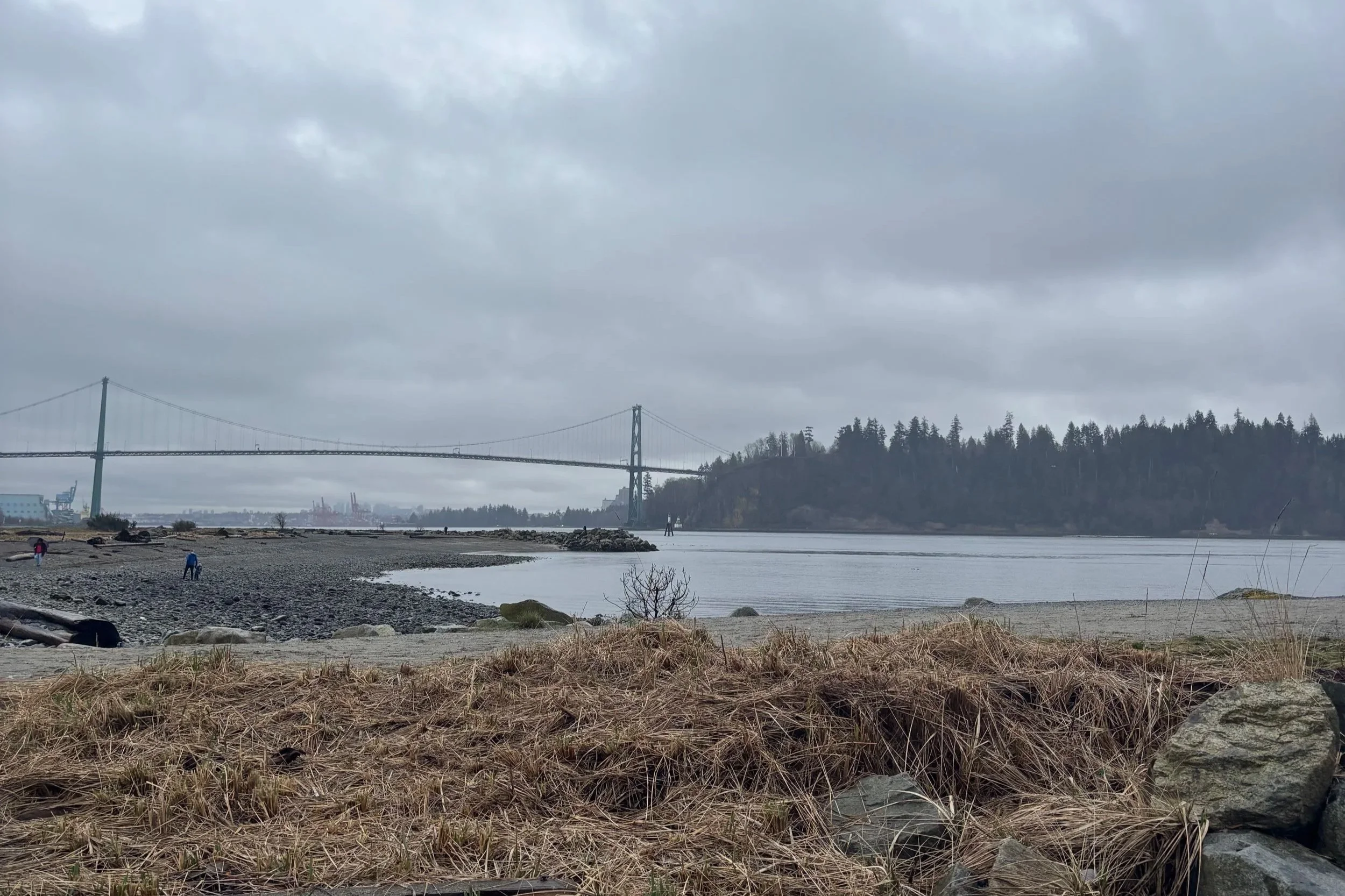 Wrap-up Meeting (Spring 2026) at Ambleside Beach