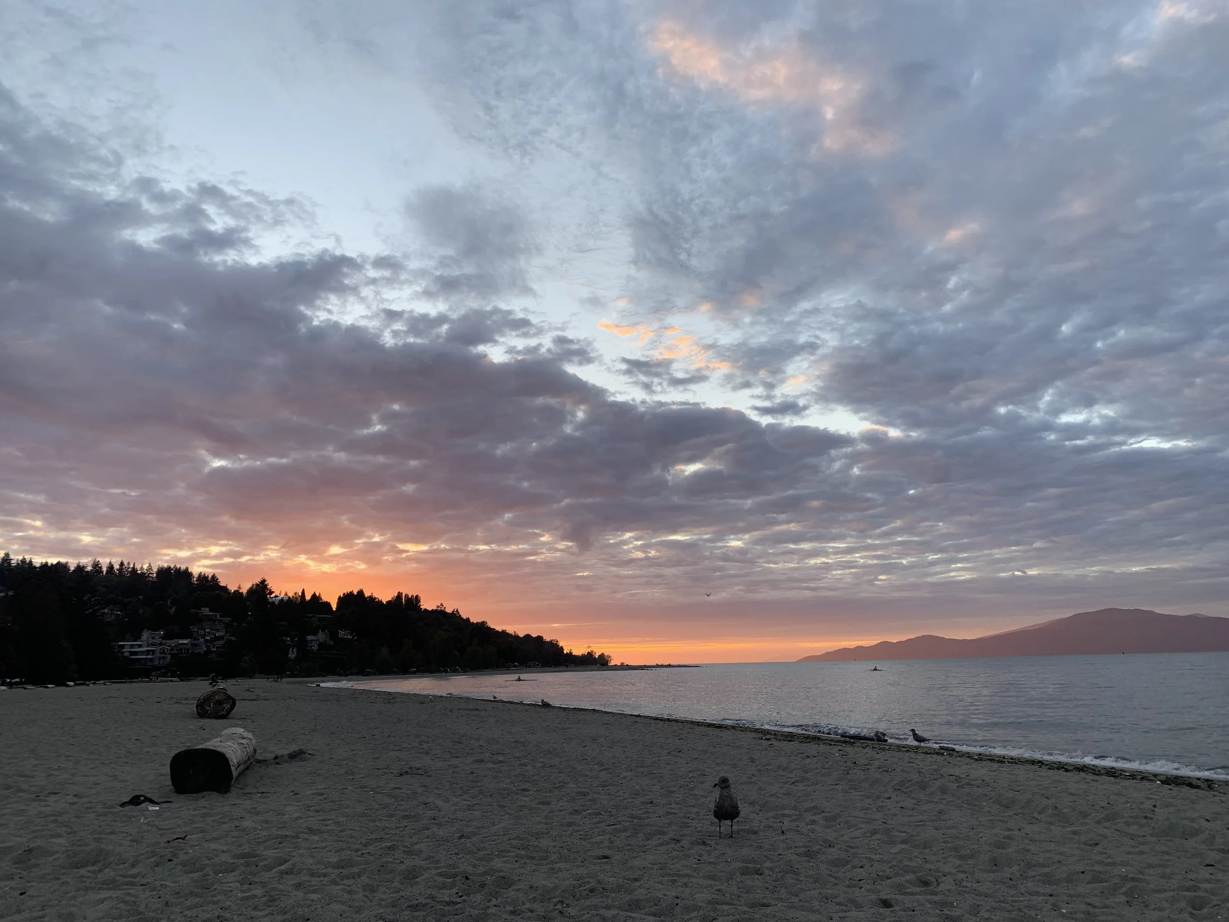 Sunset Hangout: Jericho Beach 