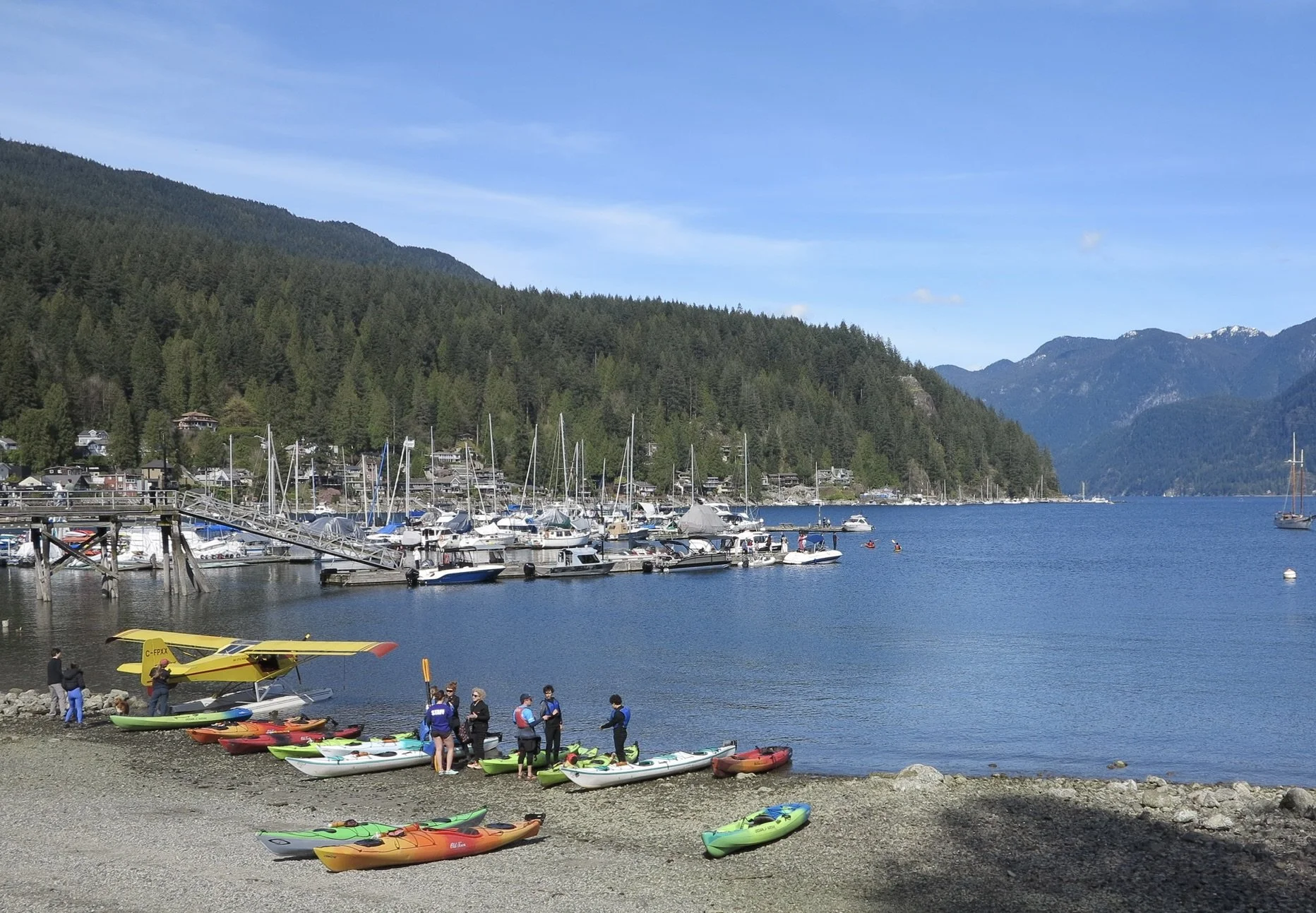 Paddle Boarding &amp; Marine Exploration: Deep Cove