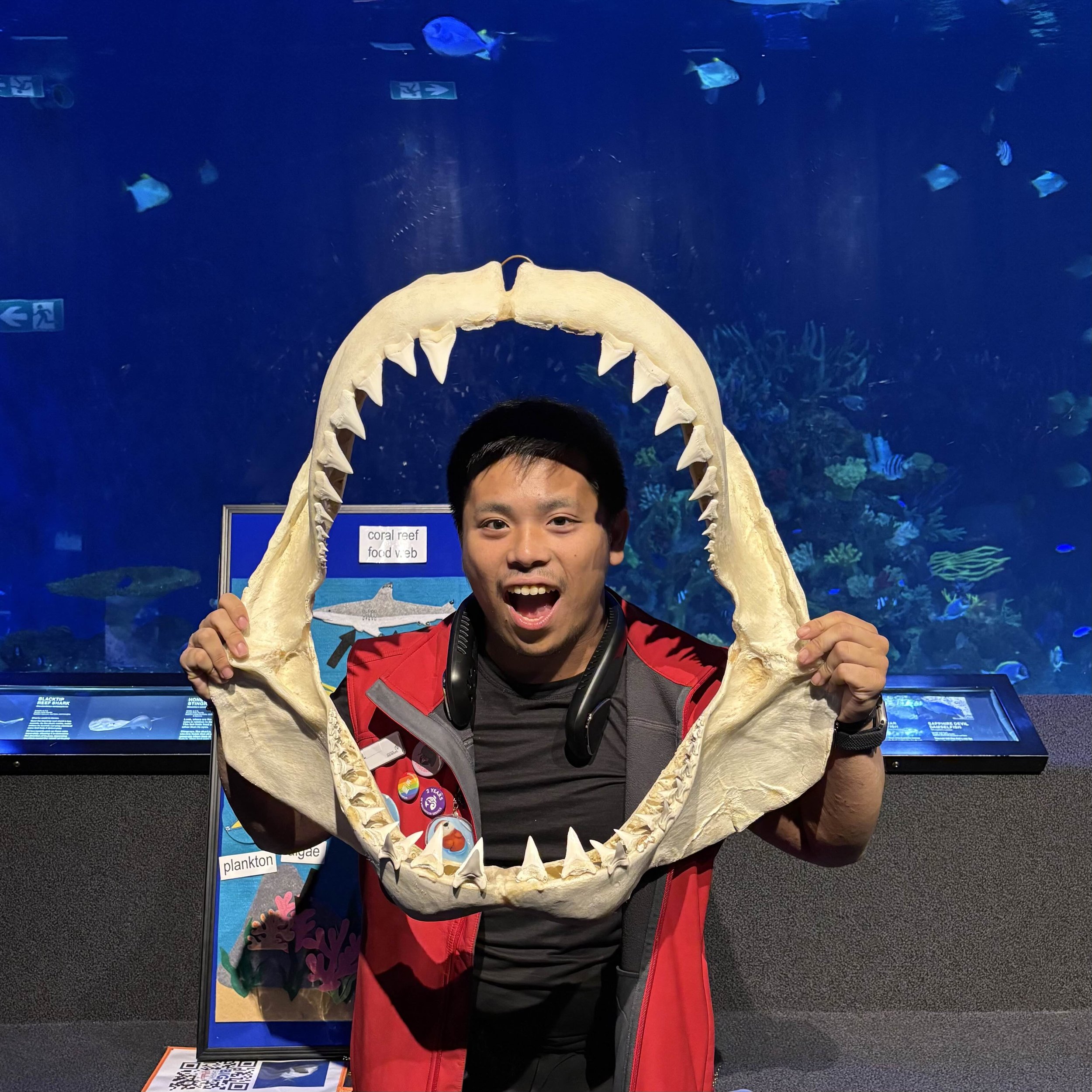 Wildlife Conservation & Ecology Society President Mel, holding a large shark jaw frame in front of his face at an aquarium exhibit.