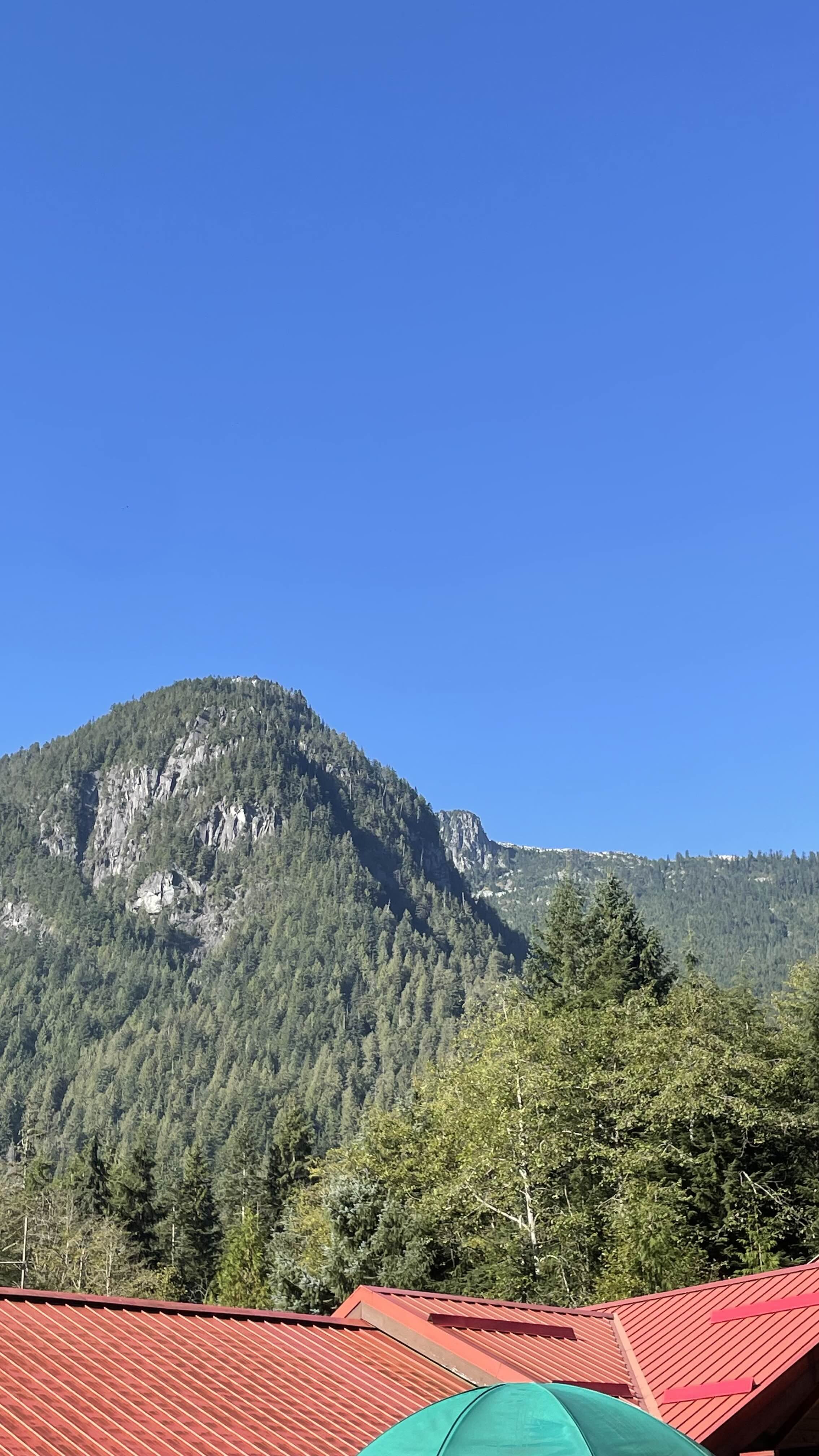 A scene with a mountain covered in evergreen trees, a clear blue sky, the roof of a building with a red metal roof, and a teal umbrella in the foreground.
