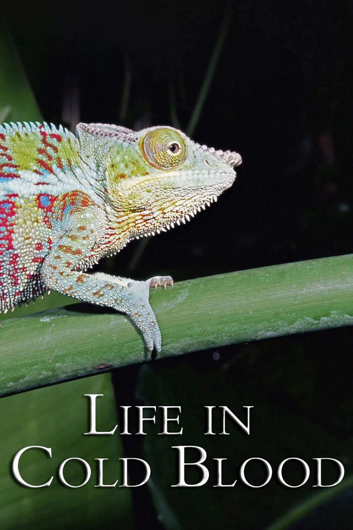 David Attenborough's Life in Cold Blood (2008)