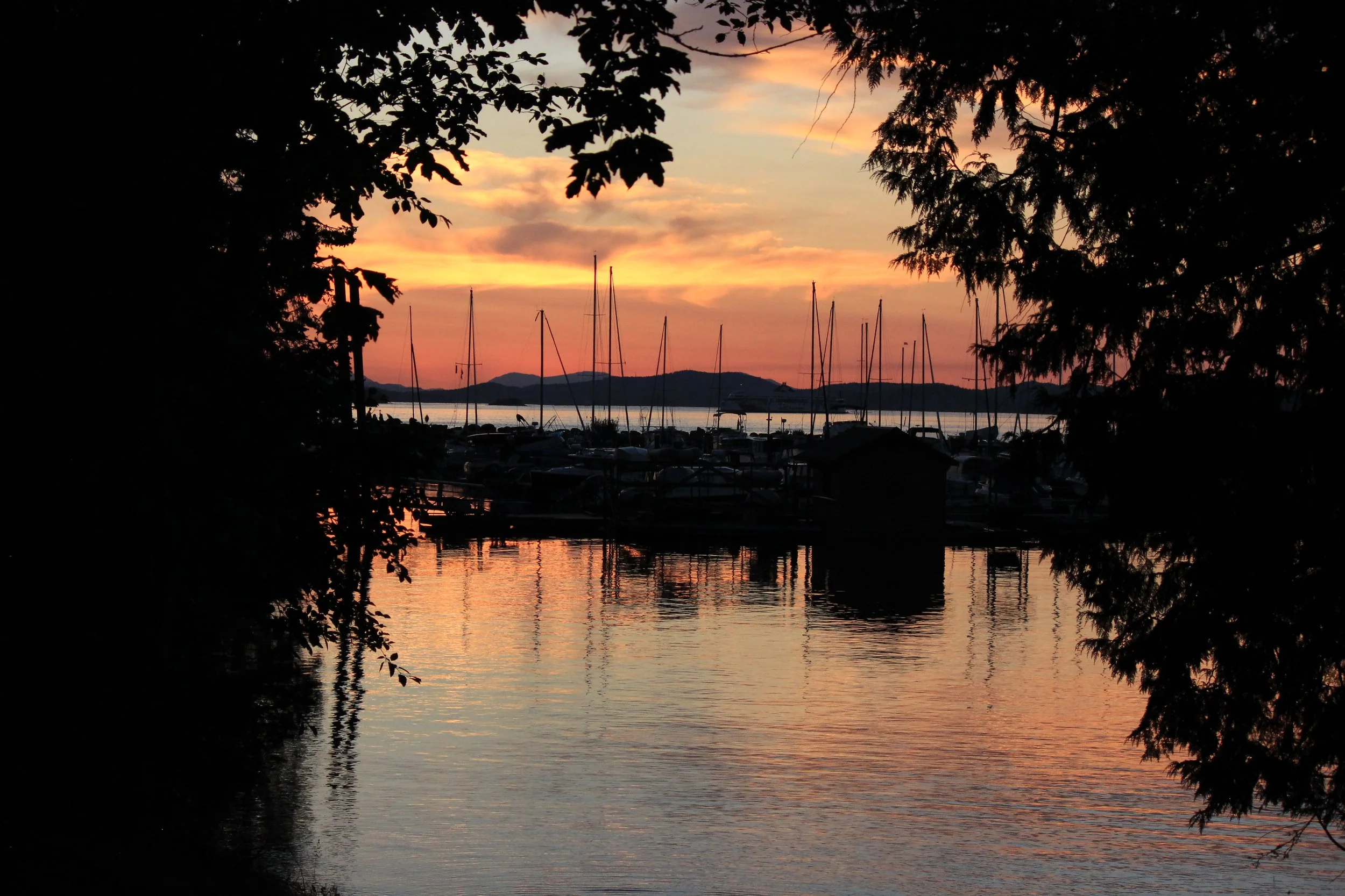 Sunset over a marina with boats docked, framed by trees and silhouetted landscape.