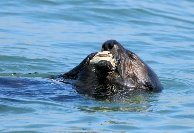 5.Fruits of Labor.jpg