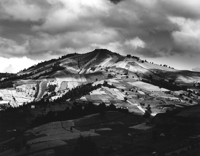 Cultivated Hill, Guatamala 
