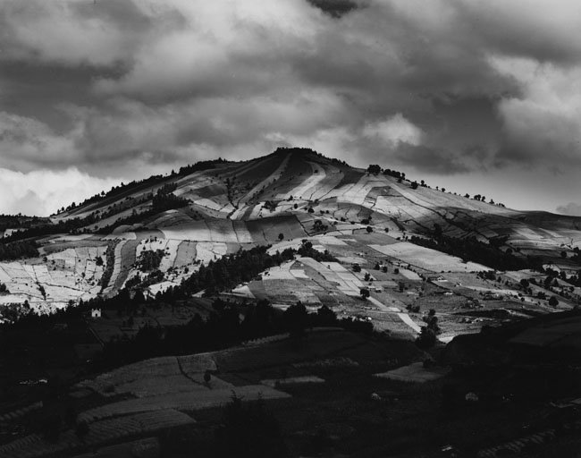 Cultivated Hill, Guatamala 