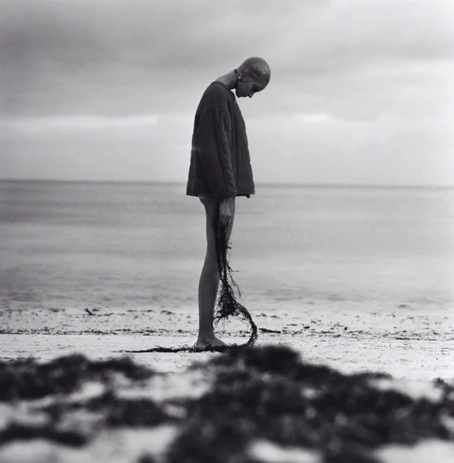 Nena Seaweed (Nena von Schlebrugge)