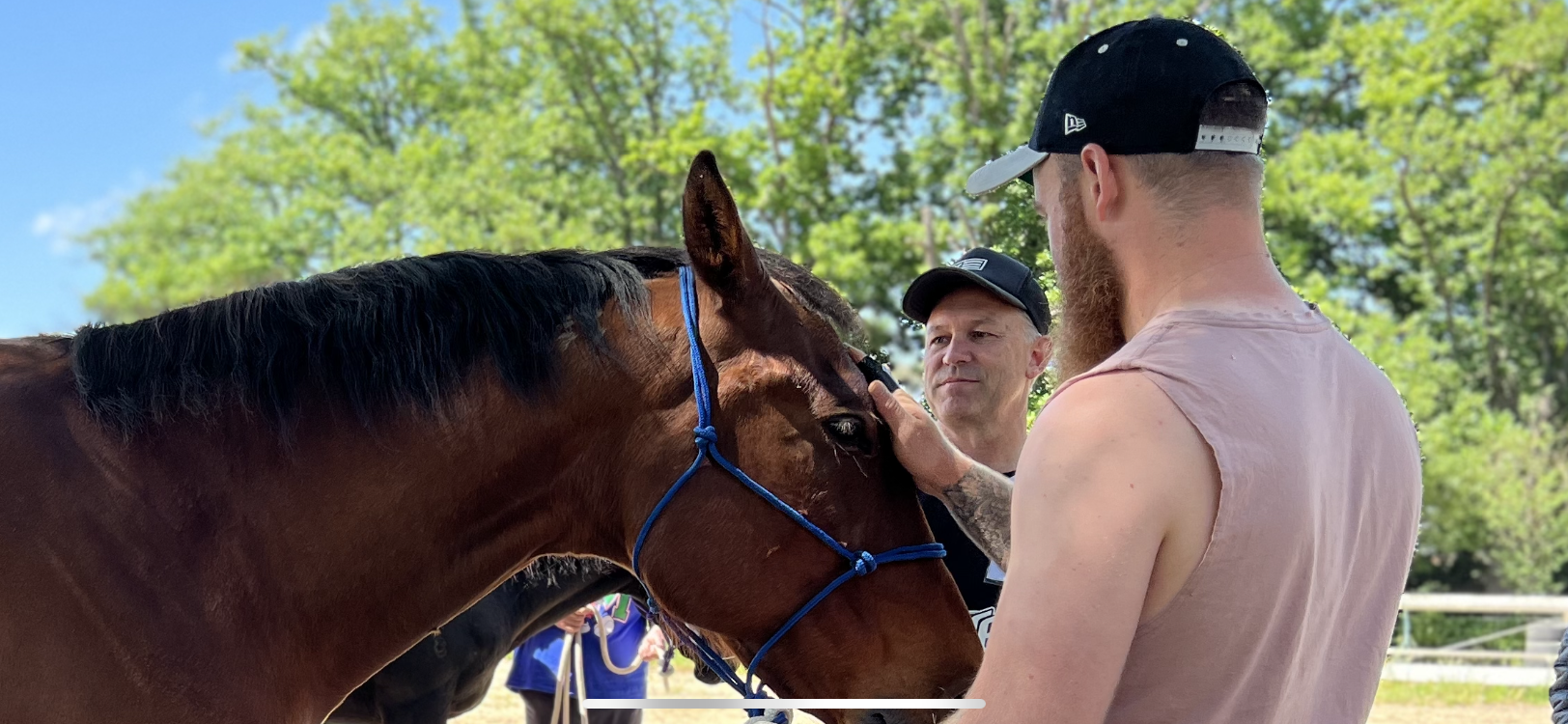 Person connecting with horse during equine therapy session