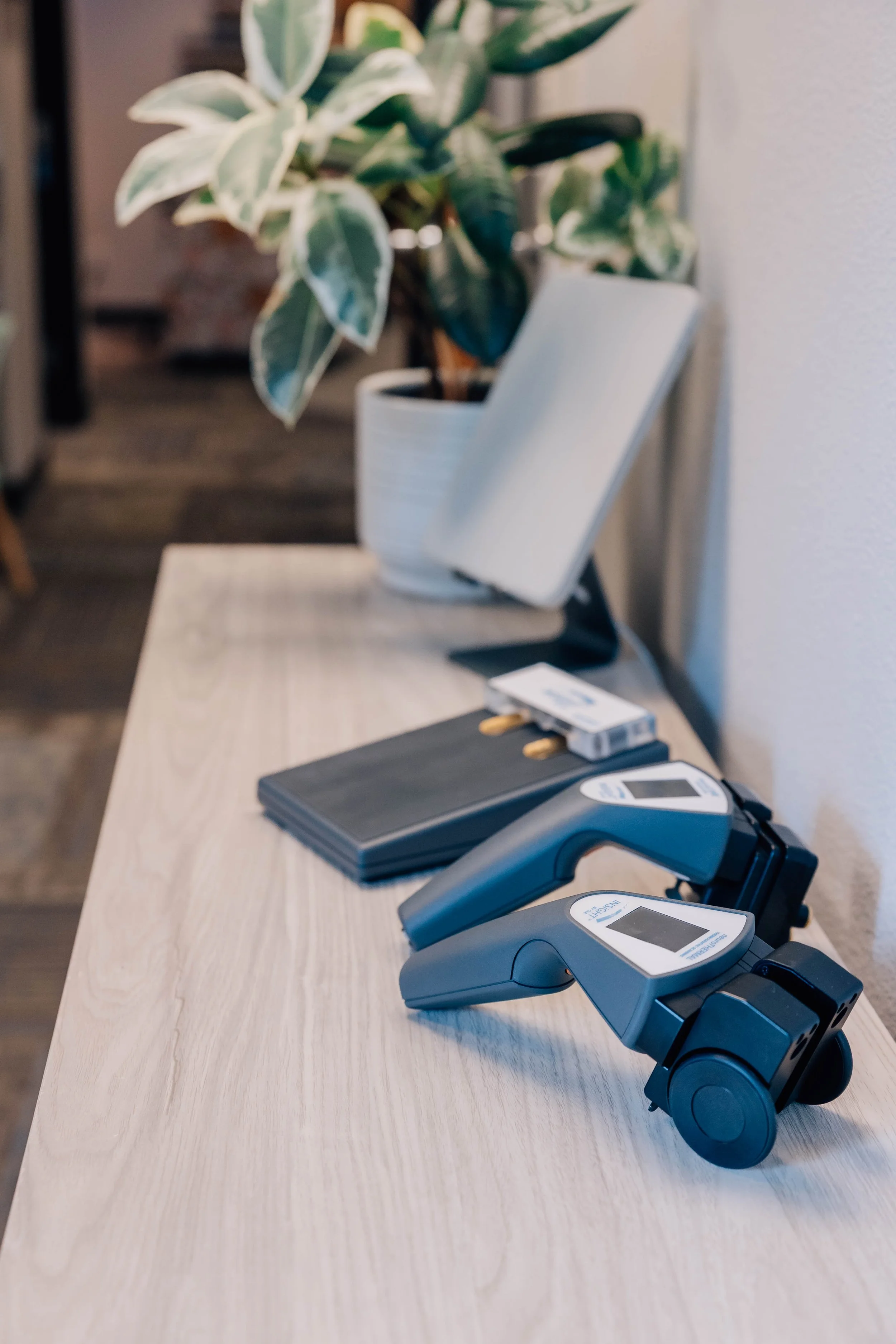 Services include pediatric chiropractic, prenatal adjustments, nervous system scans, and holistic family wellness care—addressing sleep, stress, colic, digestive issues, and overall nervous system health.