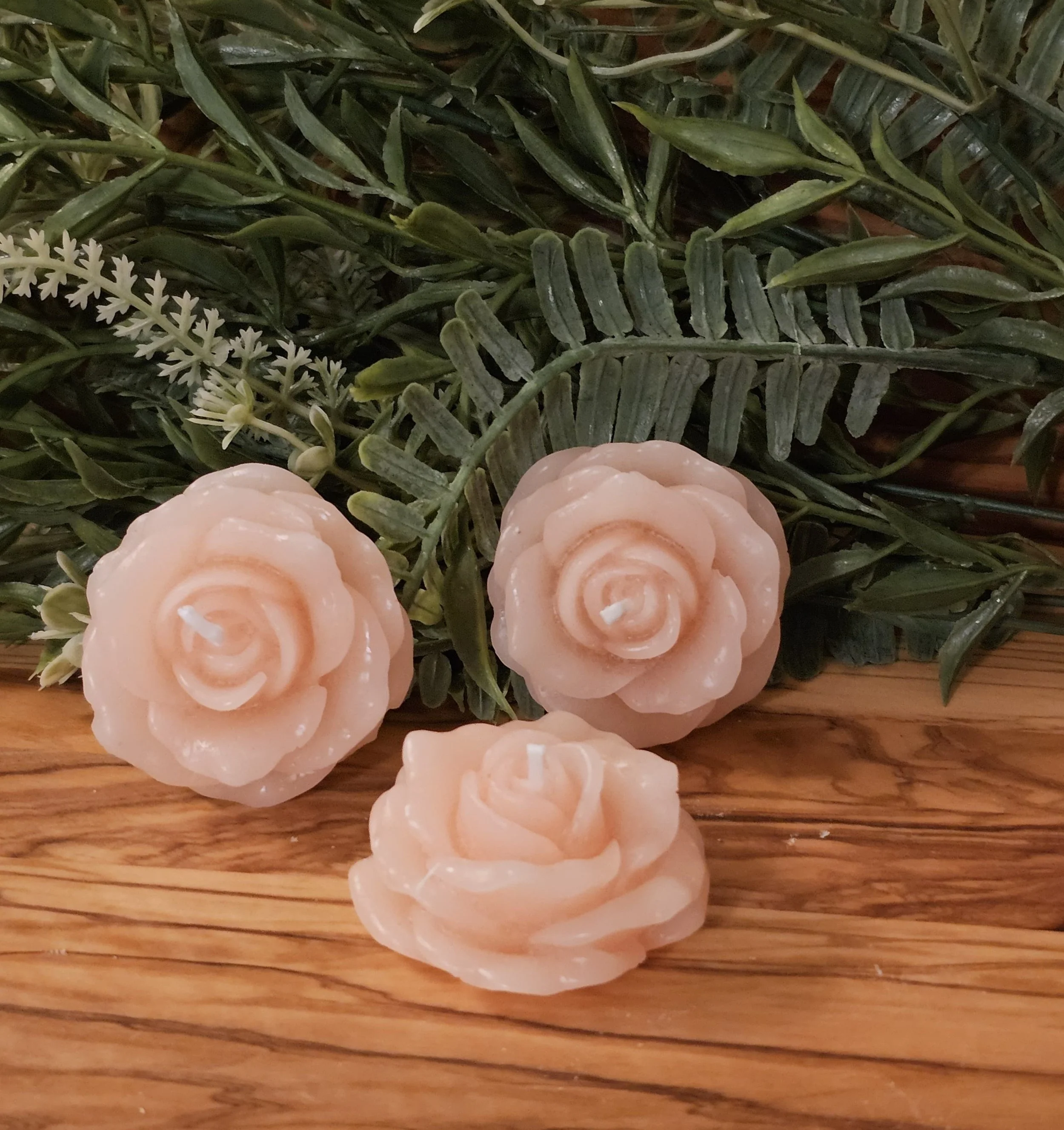 IMG-20260110-WA0072.jpg (Copy)