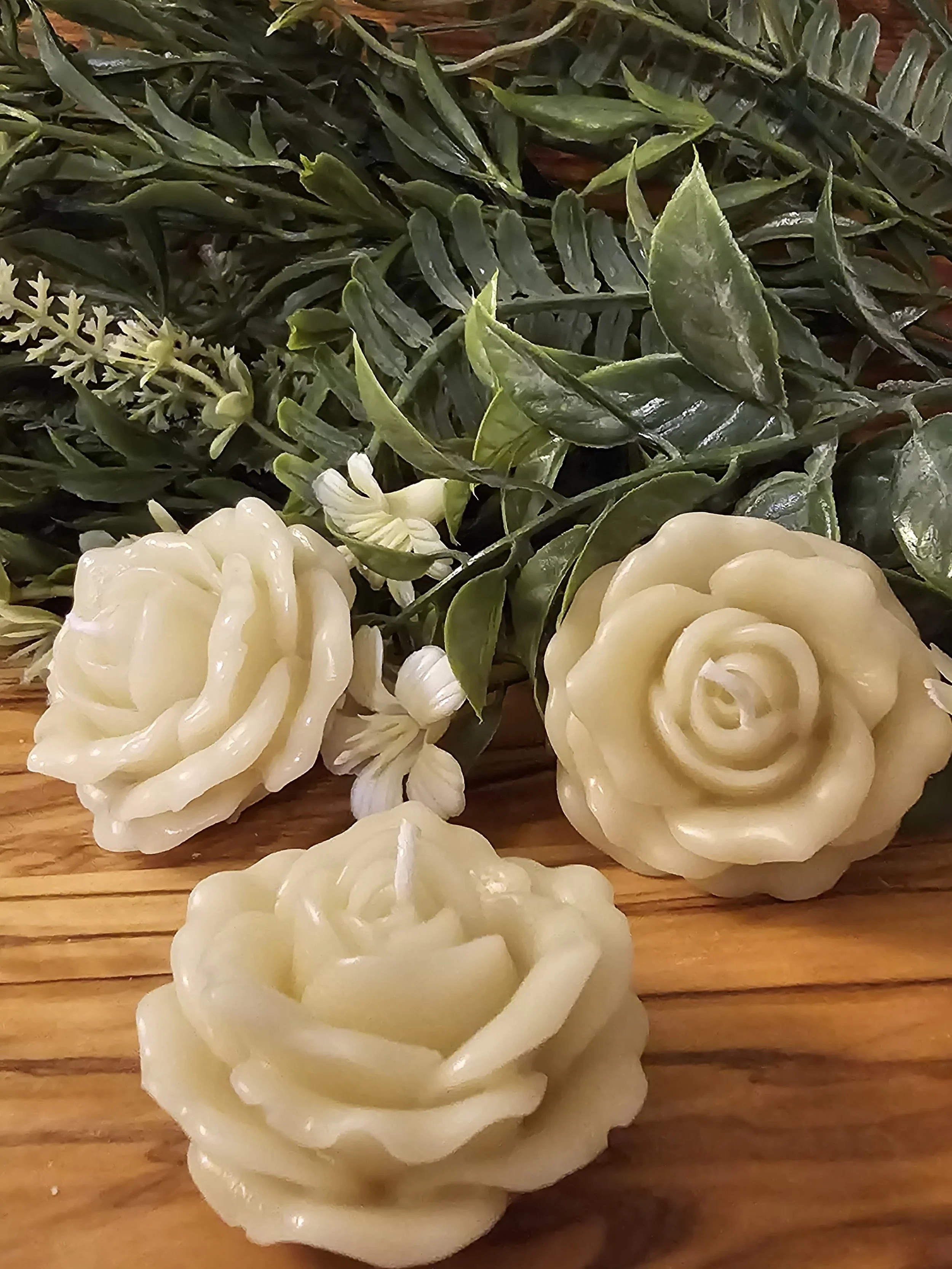 IMG-20260110-WA0042.jpg (Copy)