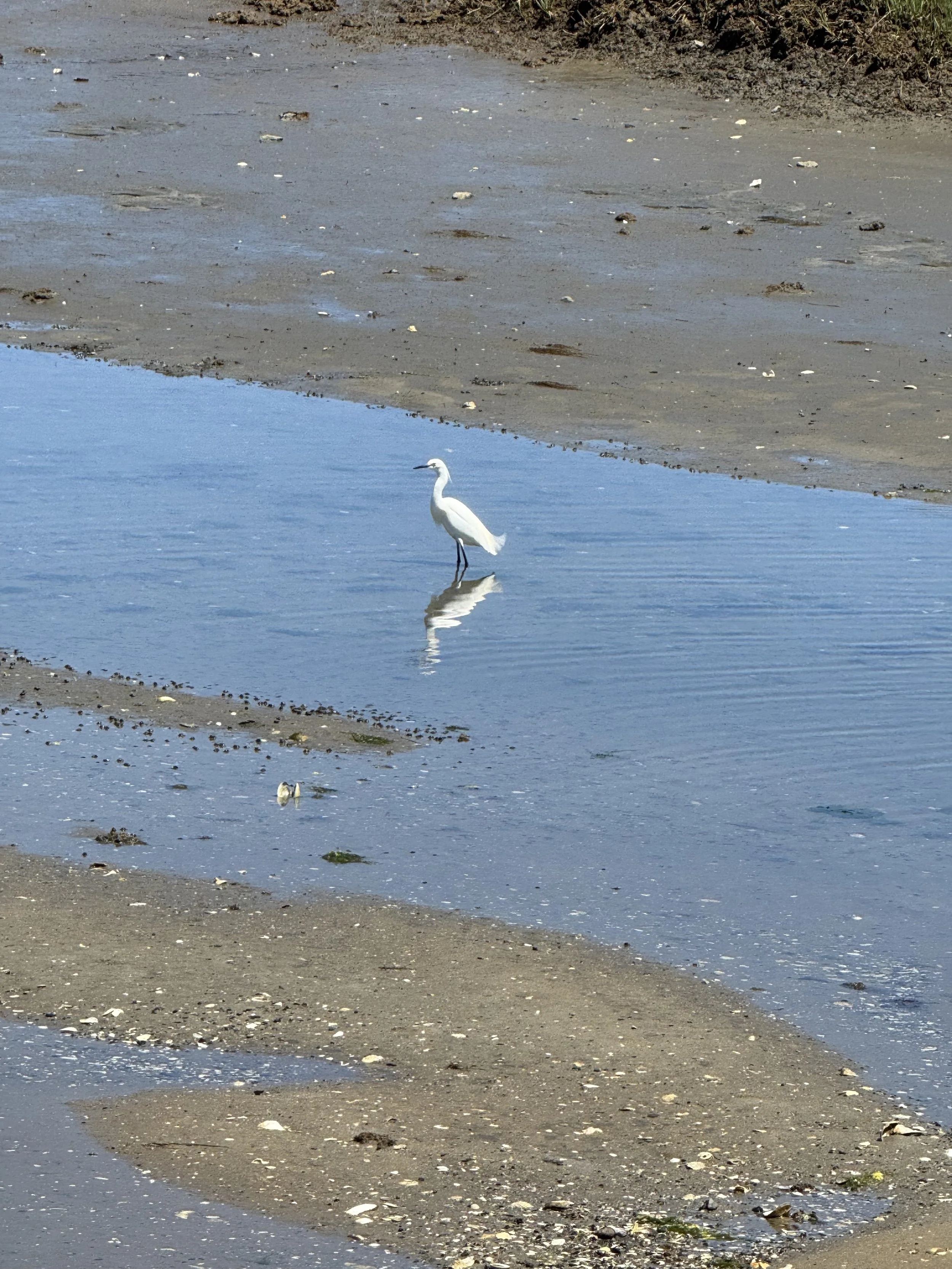 IMG_4918.jpeg