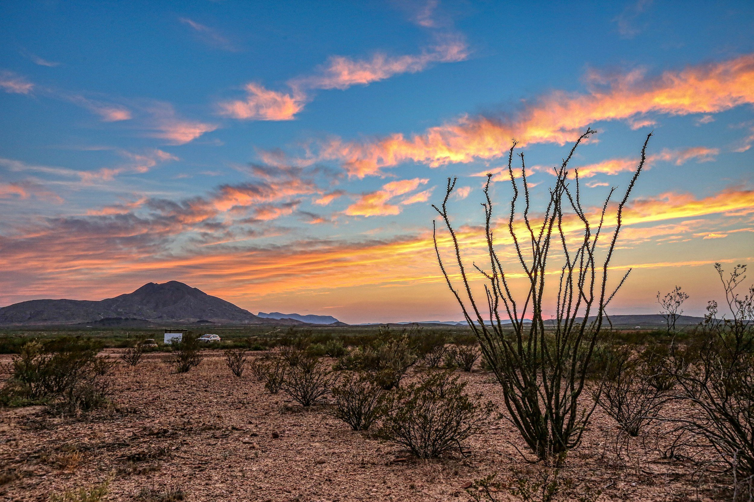 Why Rural Maternal Mental Health Matters: And Why Telehealth Isn't a Luxury