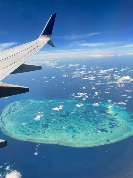 Travel trends are easy to talk about — but real booking data tells a far more honest story.