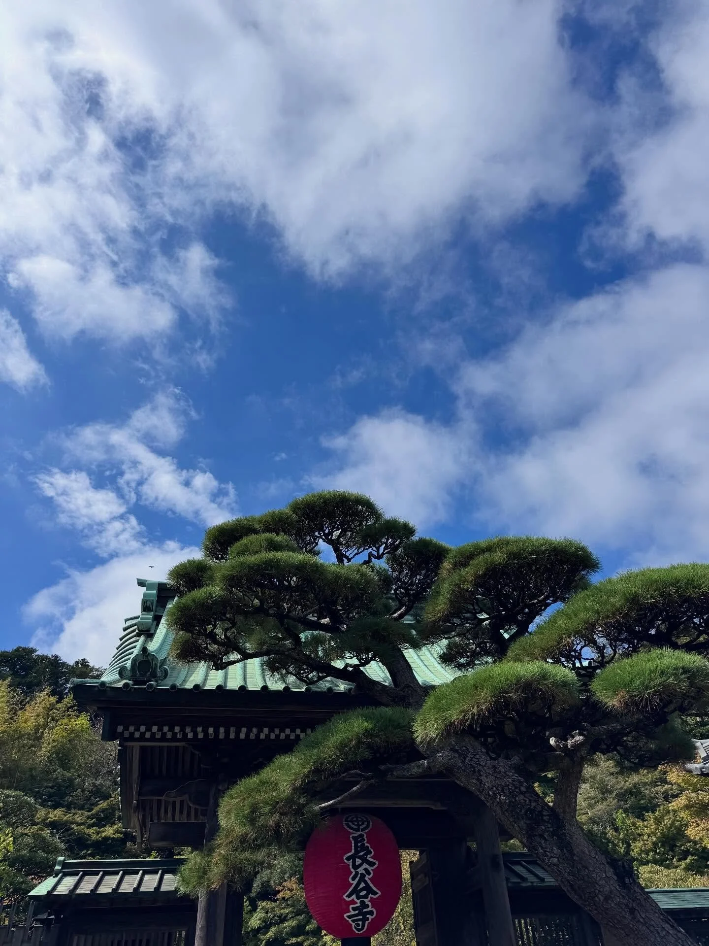 Hase-dera(長谷寺):

Es uno de los templos budistas m&aacute;s conocidos y visitados de Jap&oacute;n. Fue fundado en el siglo VIII y reconstruido en &eacute;pocas posteriores.

El templo est&aacute; construido sobre una colina, y desde su terraza se tien