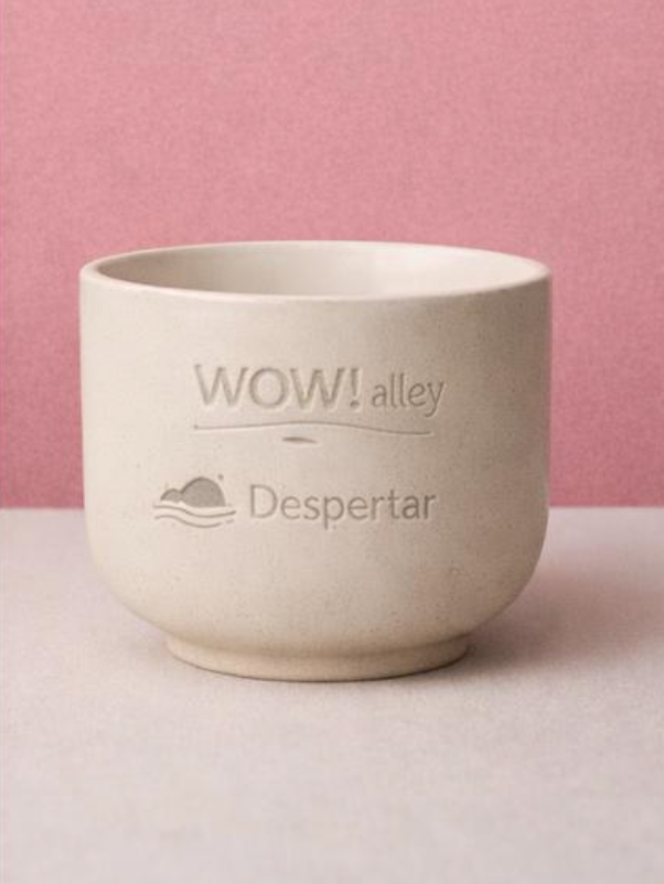 Despertar - Experiencia de autor