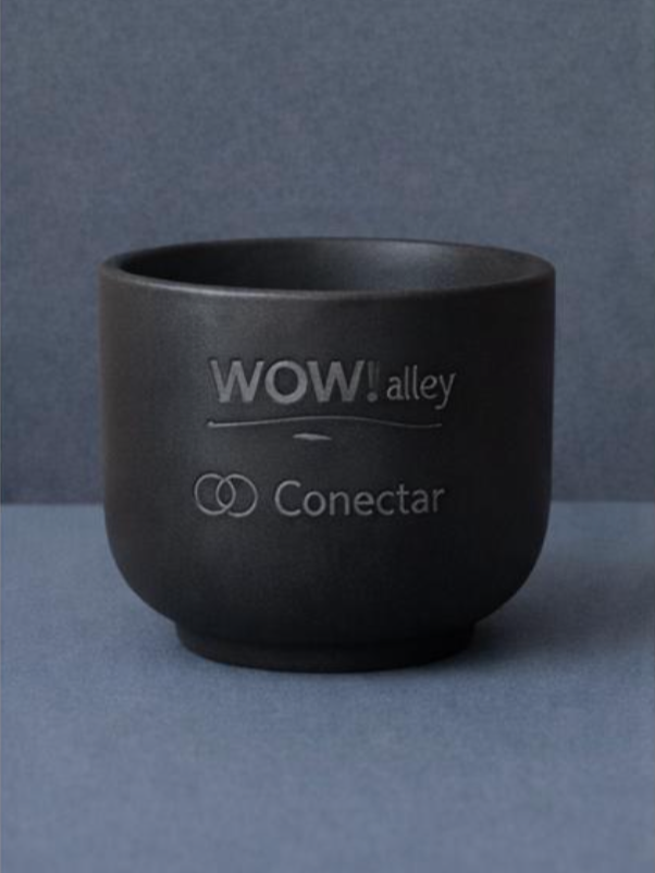 Conectar - Experiencia curada