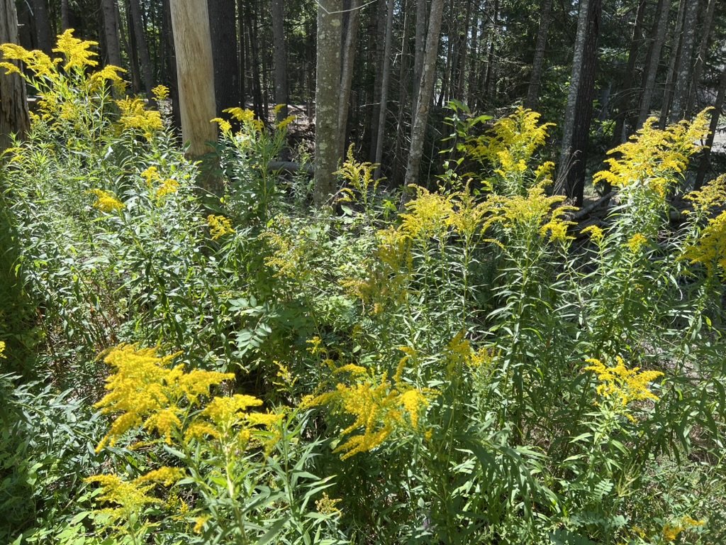 Aligning People, Systems and Strategy