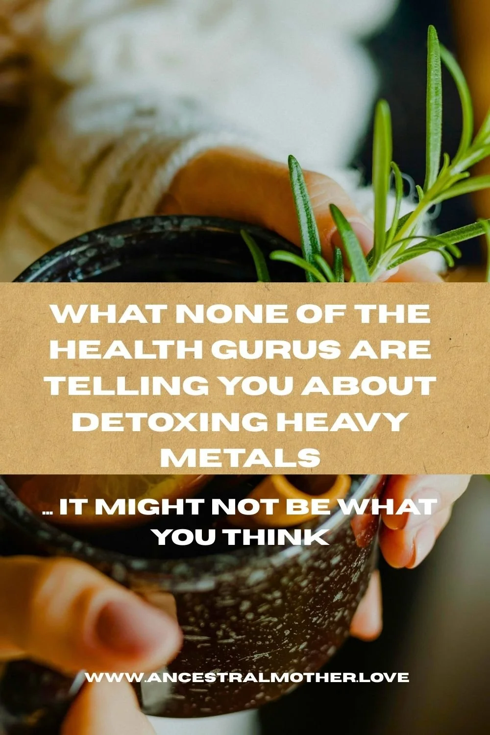 What None of the Health Gurus are telling you about Detoxing Heavy Metals