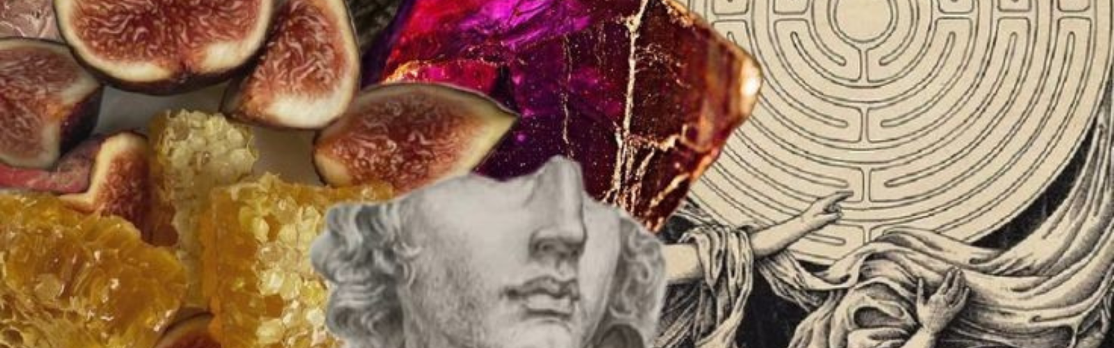 Well-Nourished Women (2).png