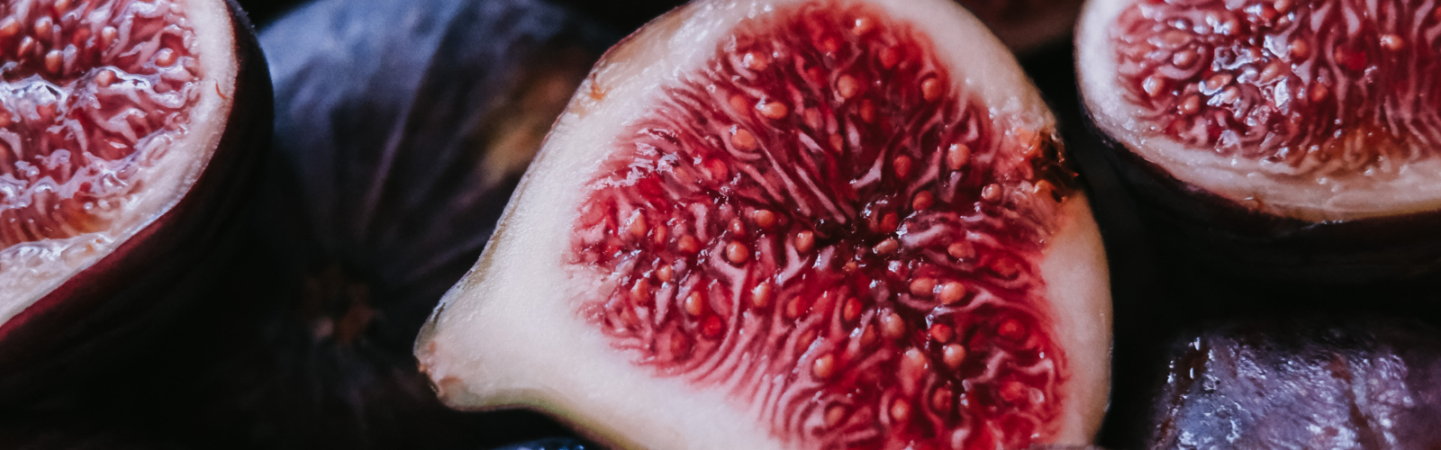 Well-Nourished Women (1).png
