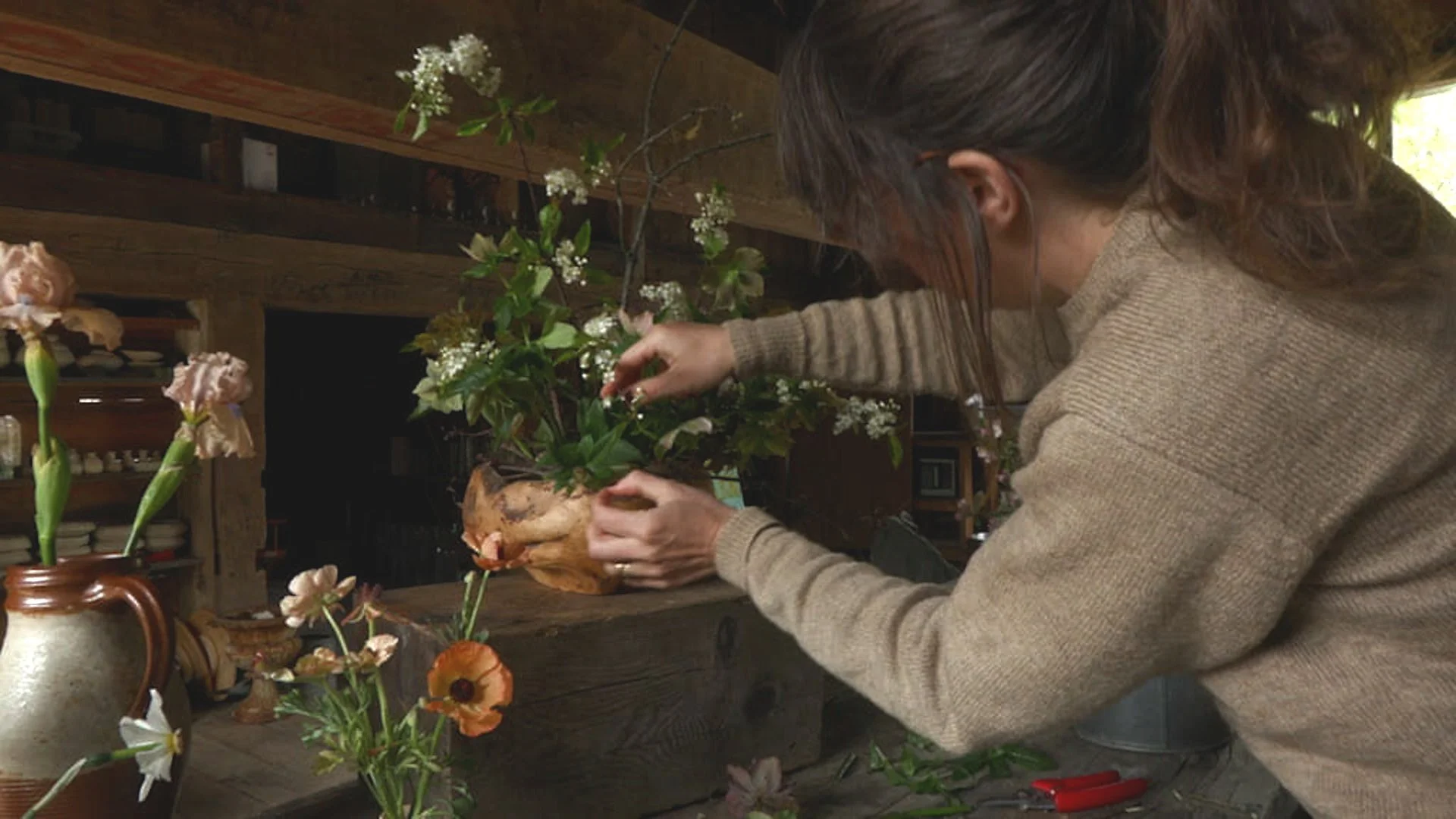 Hello Hellebores! Part II