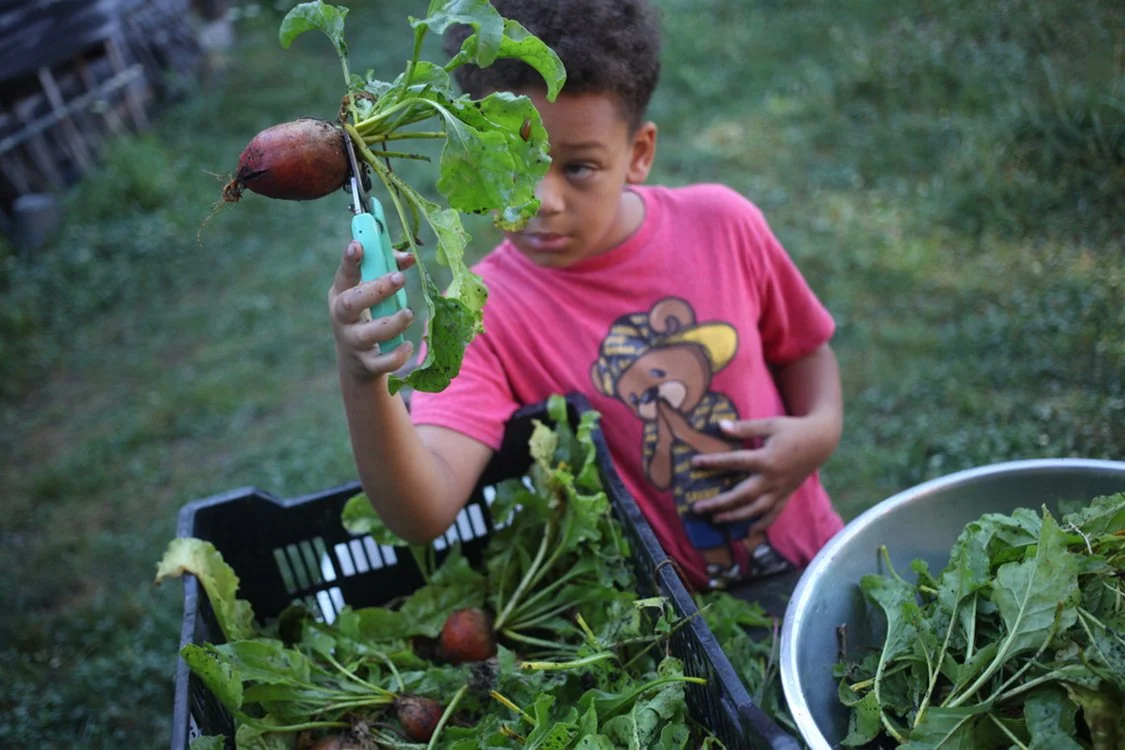 finn beets kids programming.jpg