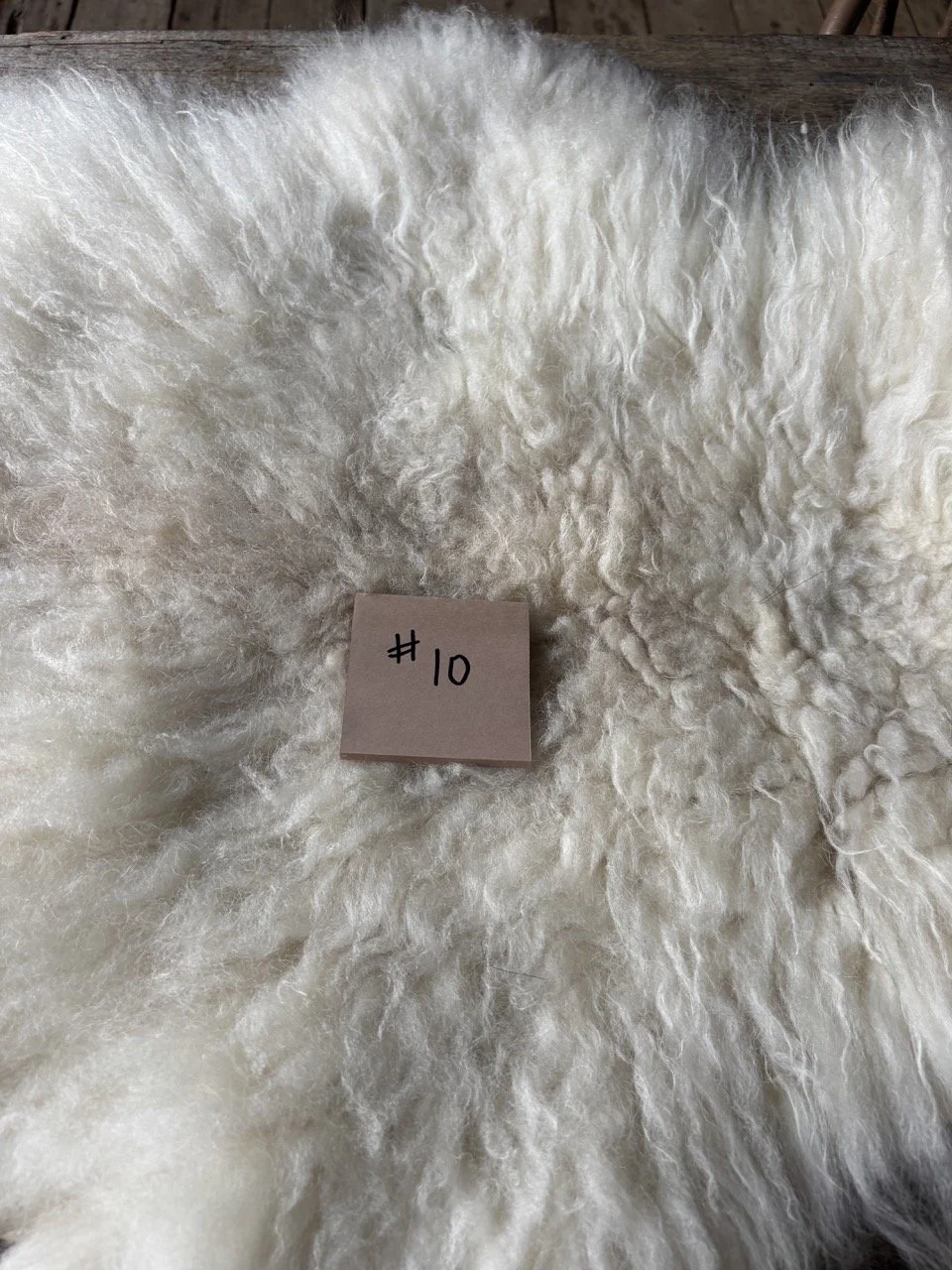 10a Large.jpeg