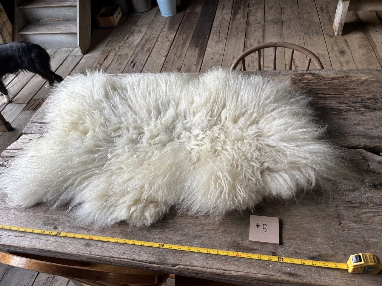Worlds End Icelandic Sheepskin Pelts