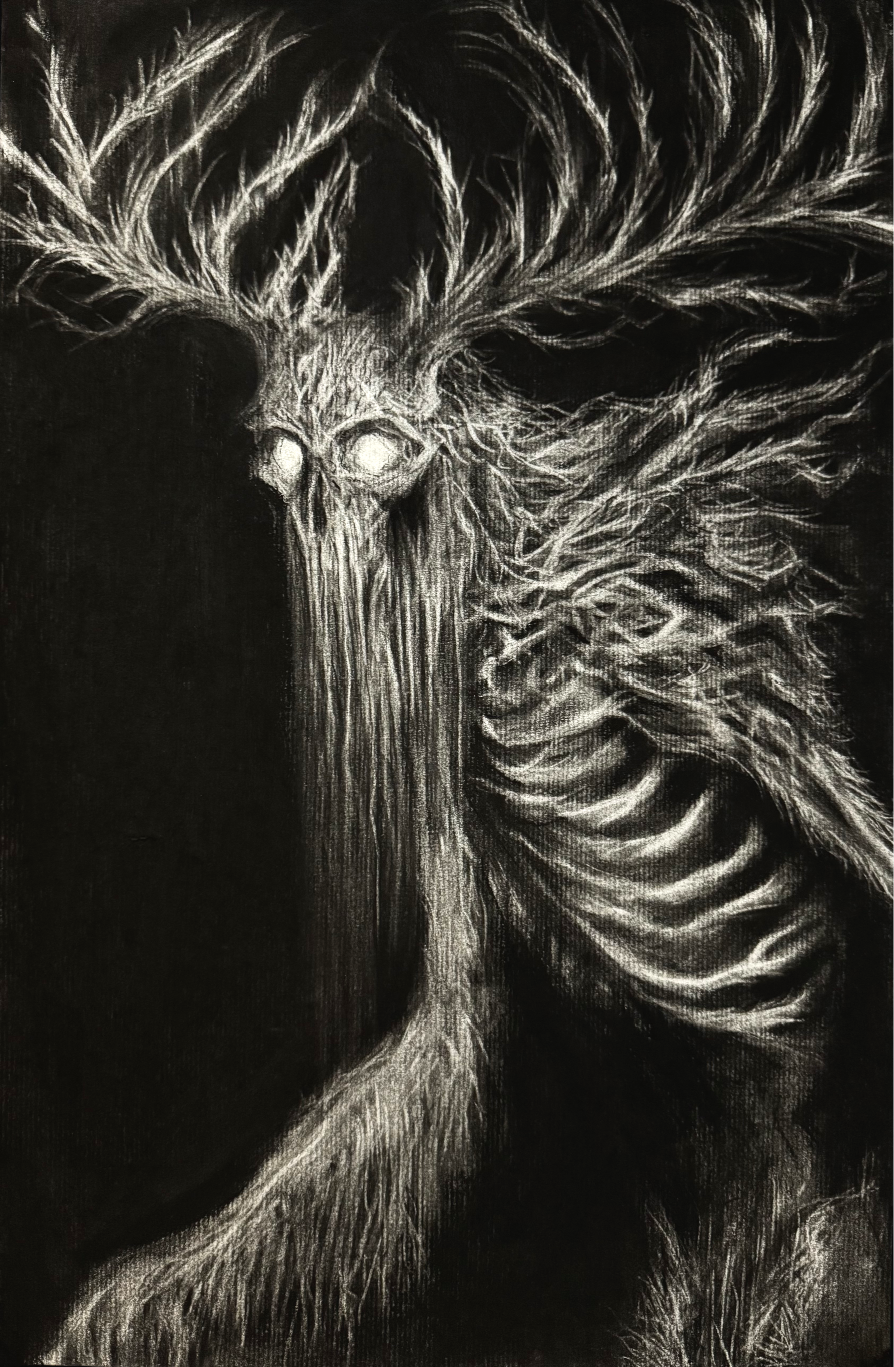 Forest Cryptid