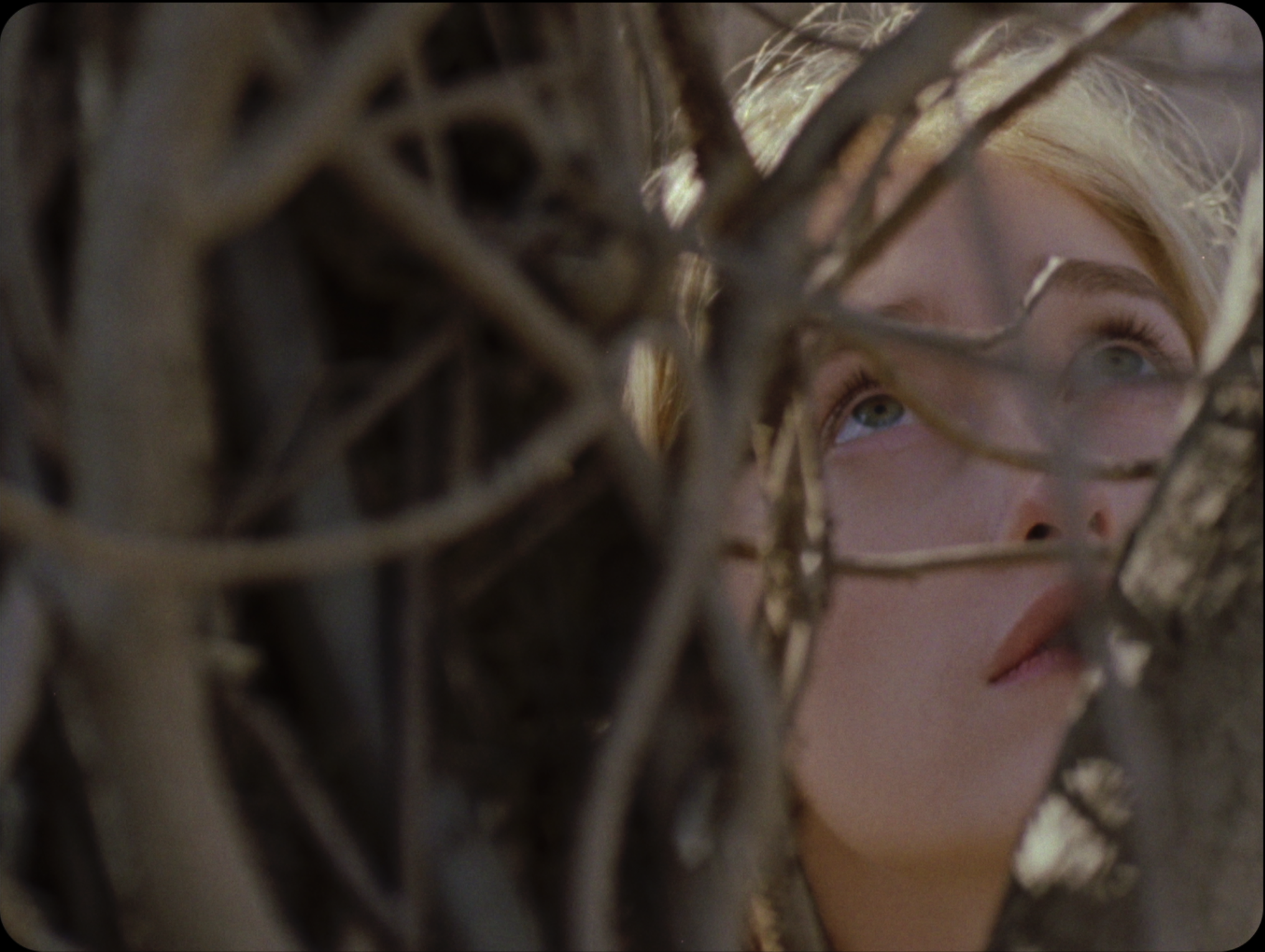 Screen Shot 2021-01-28 at 12.06.44 AM.png