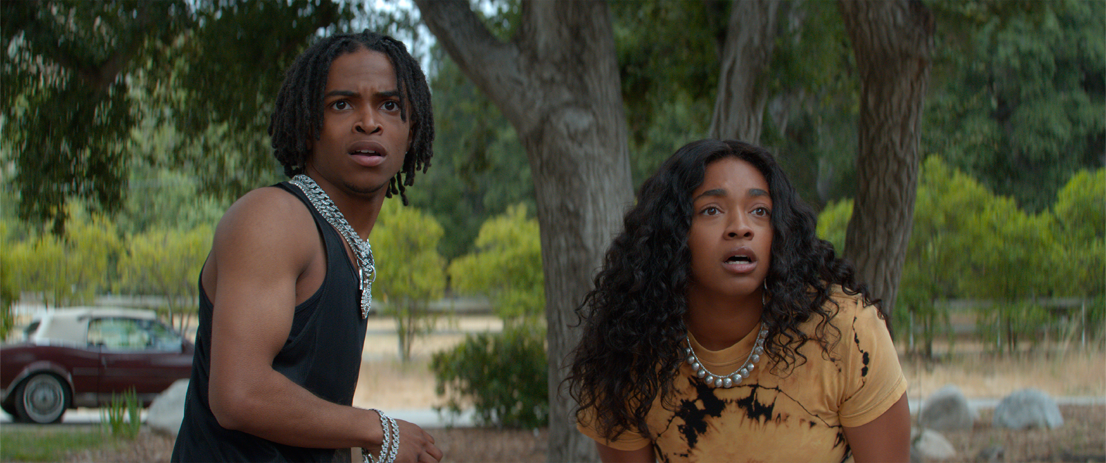 DON'T TELL MOM THE BABYSITTER'S DEAD